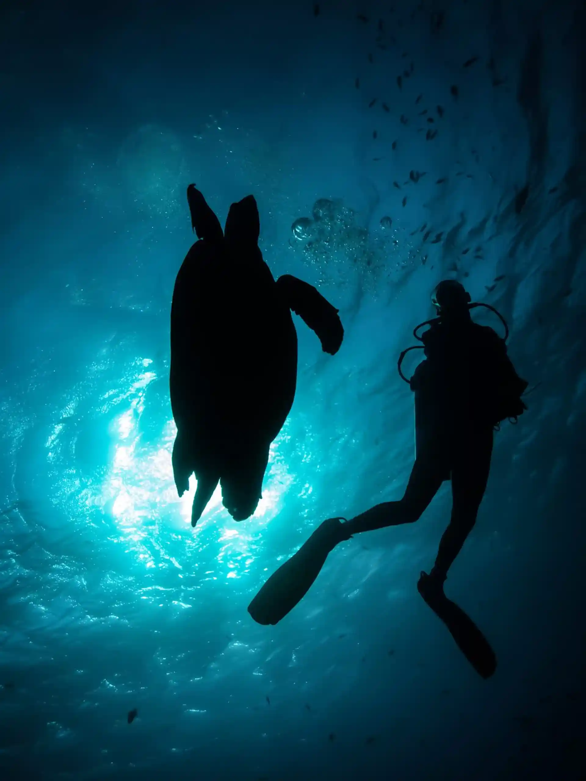 Dive site photo
