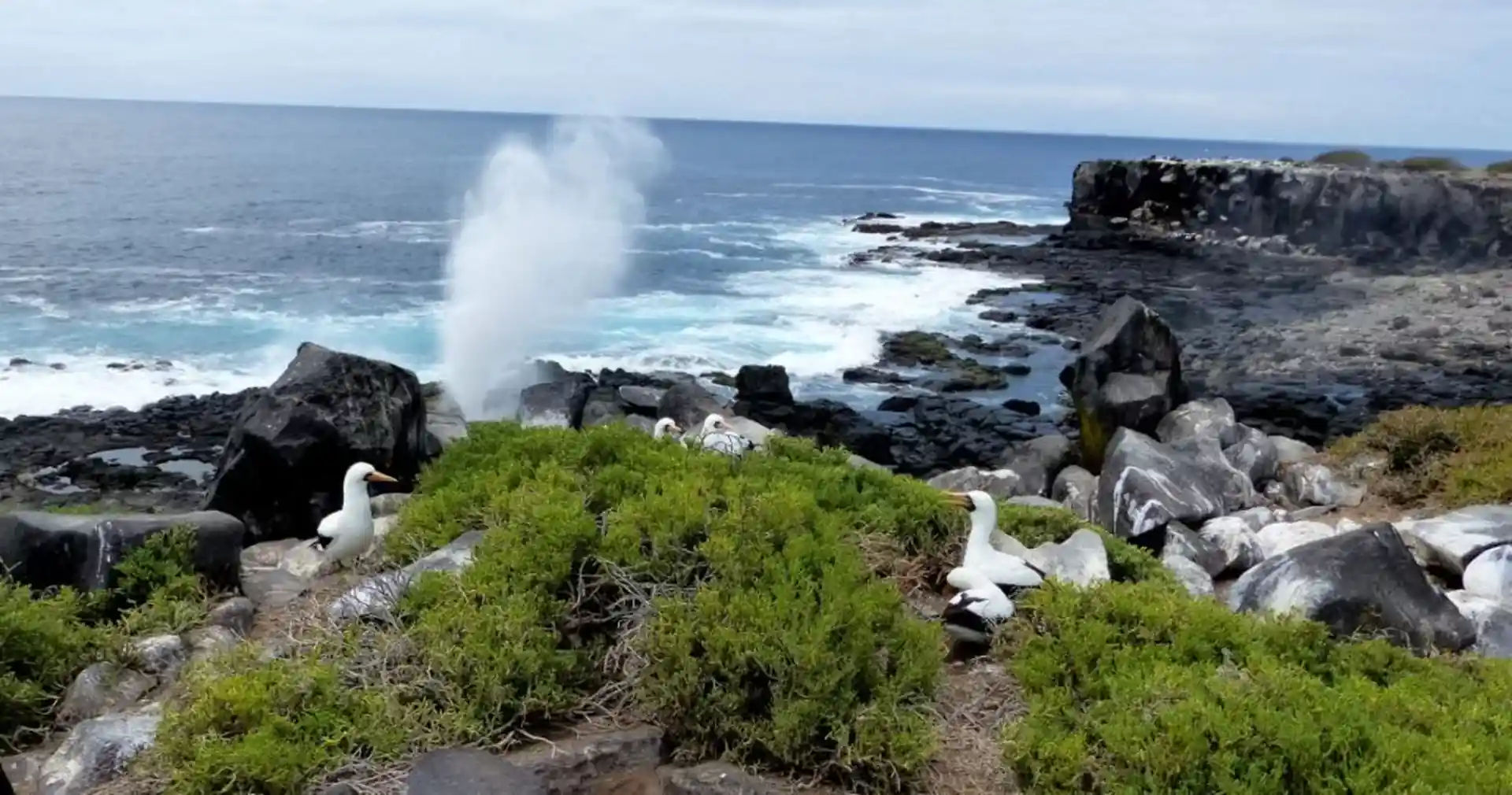 Foto de la actividad
