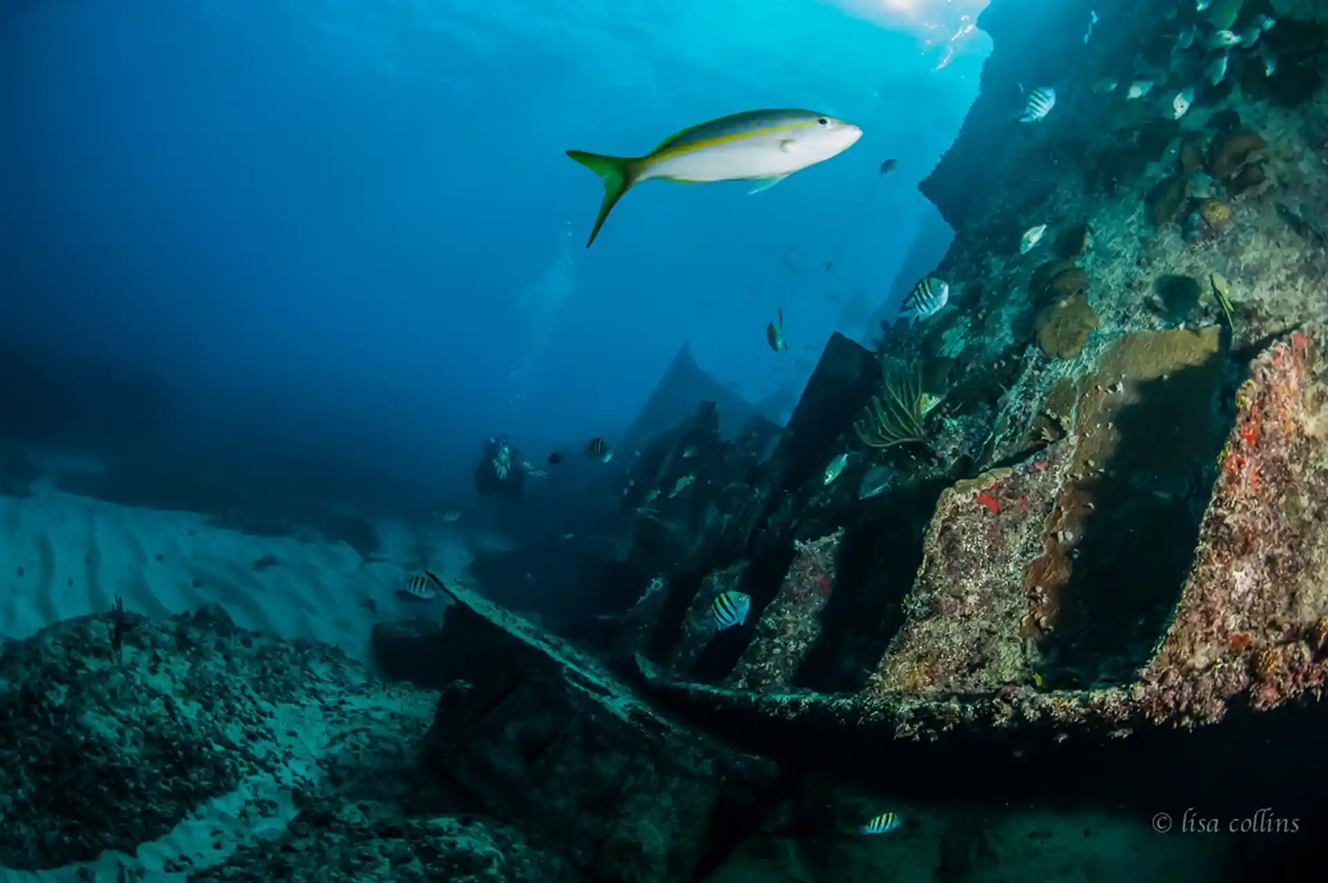 Photo de l'activité