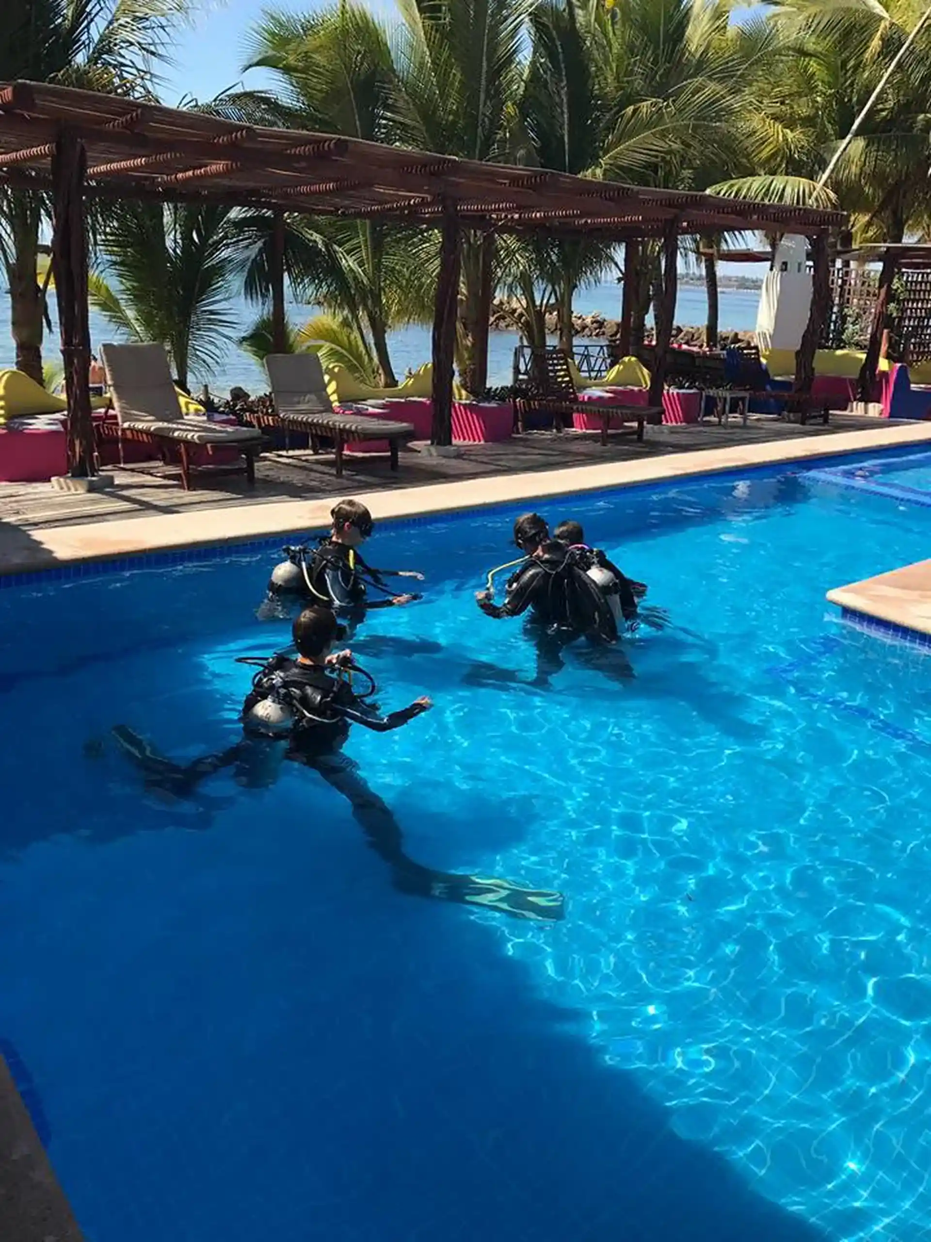 Activity photo