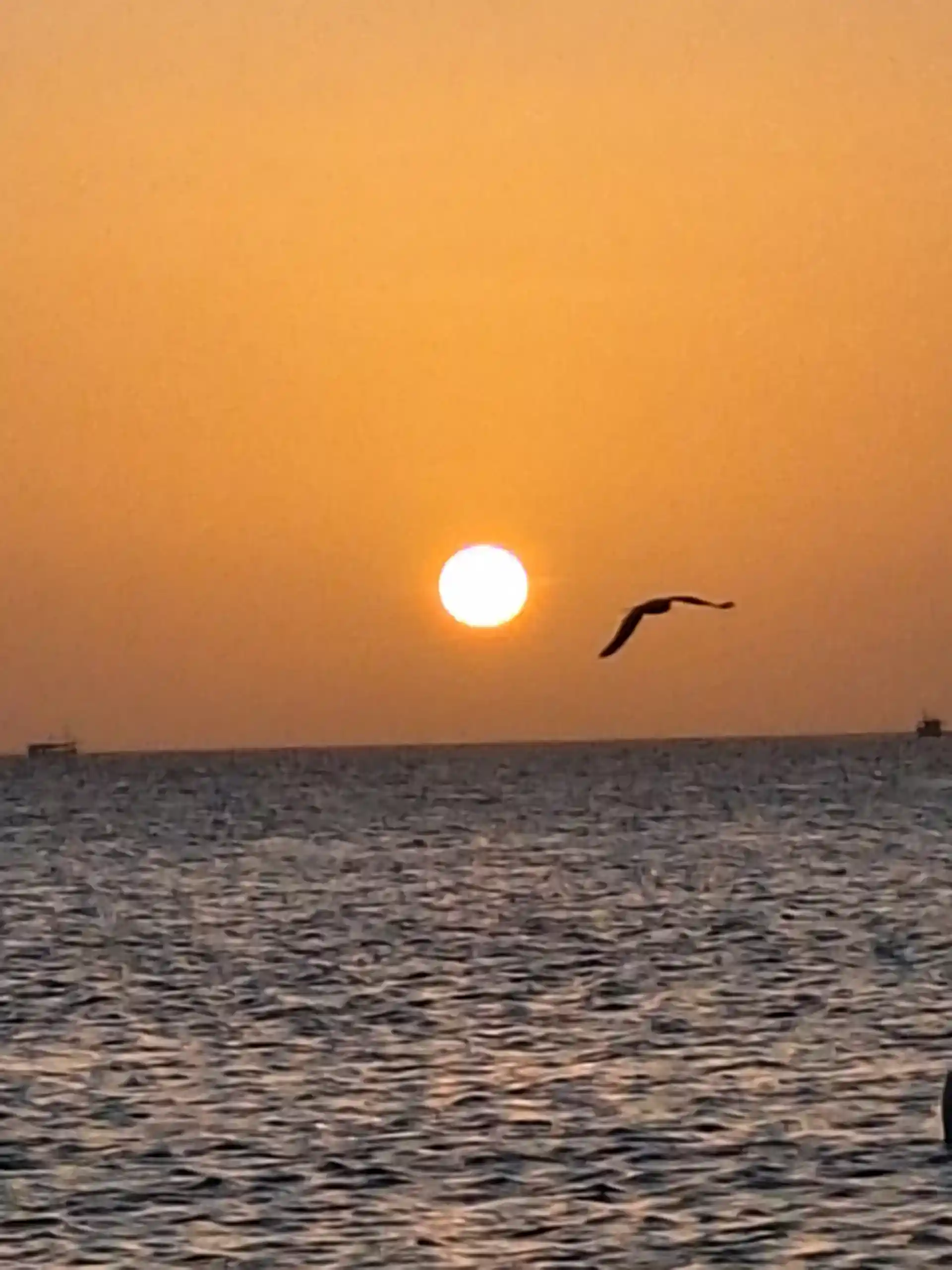 Foto del sitio de buceo