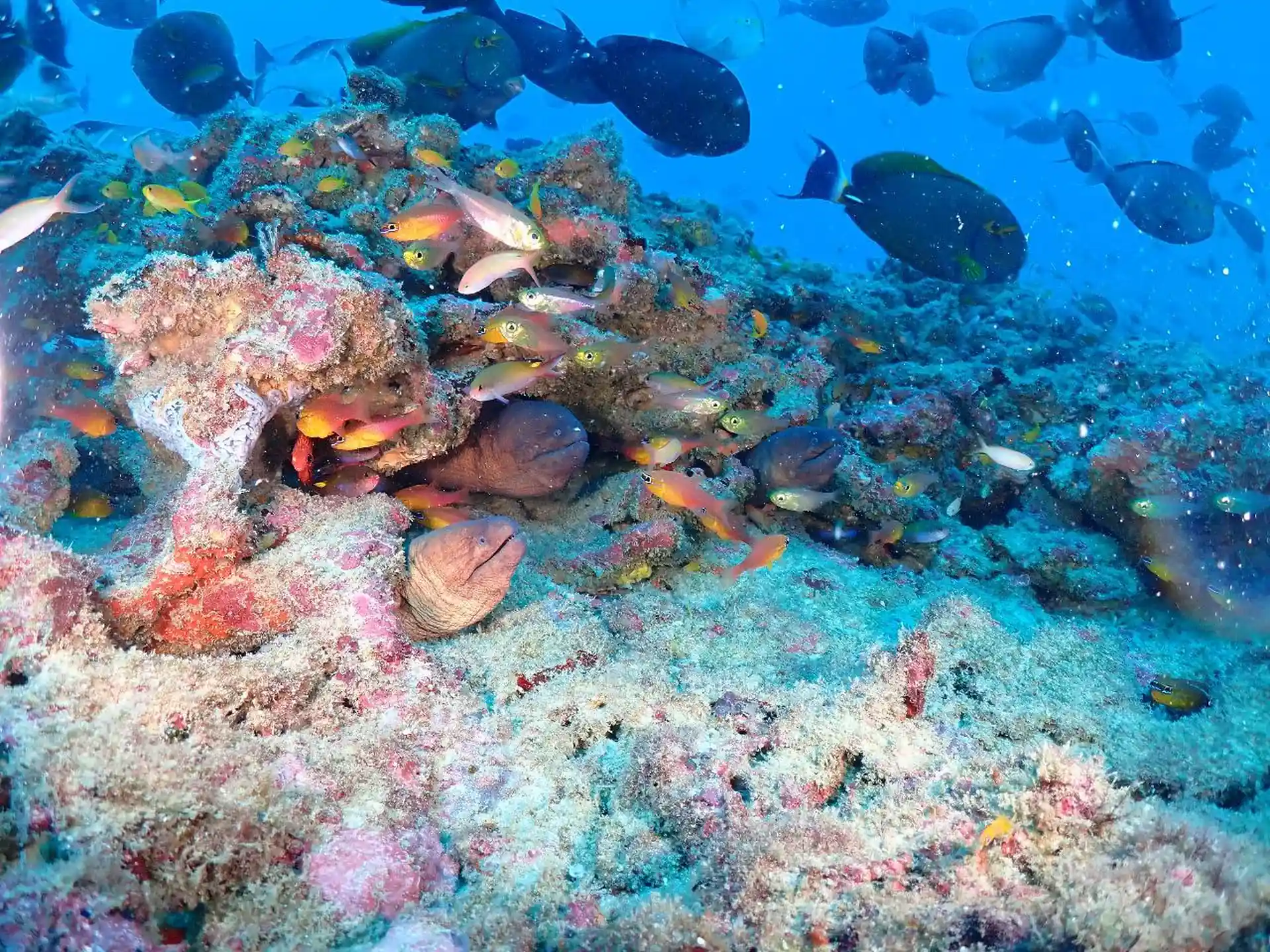 Dive site photo