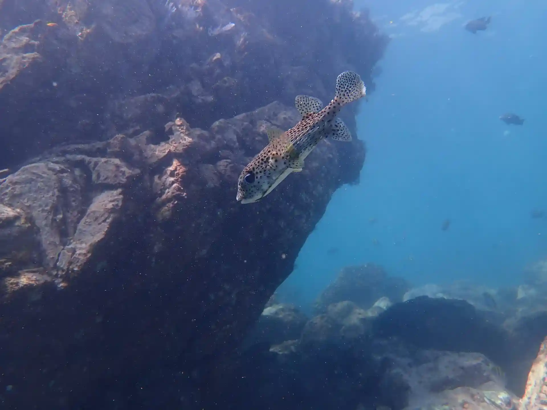 Foto del sitio de buceo