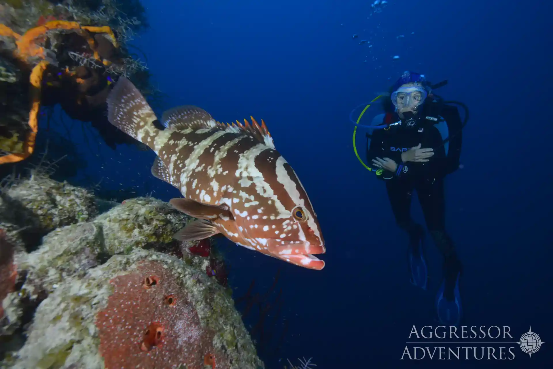 Dive shop photo