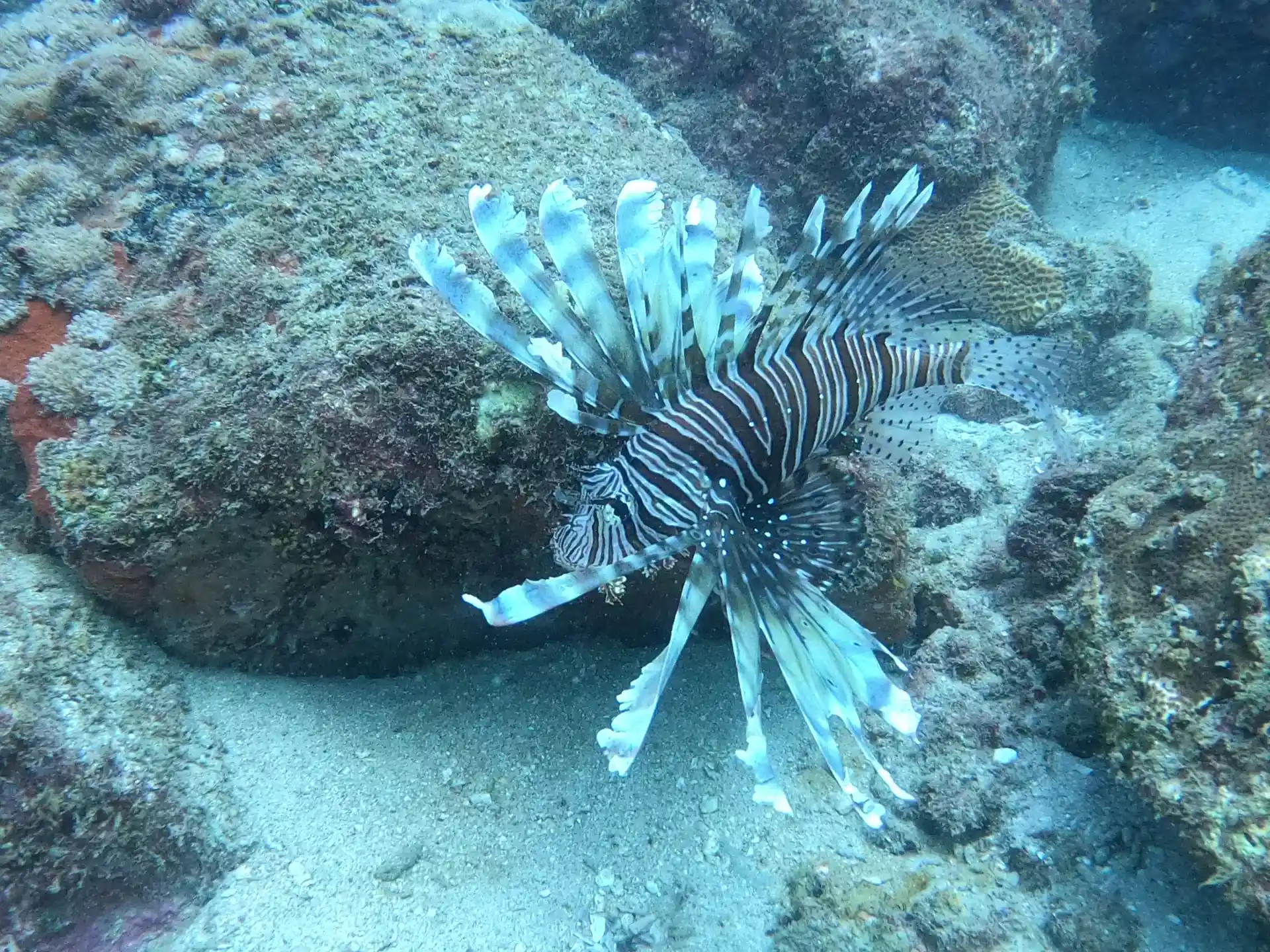 Dive site photo