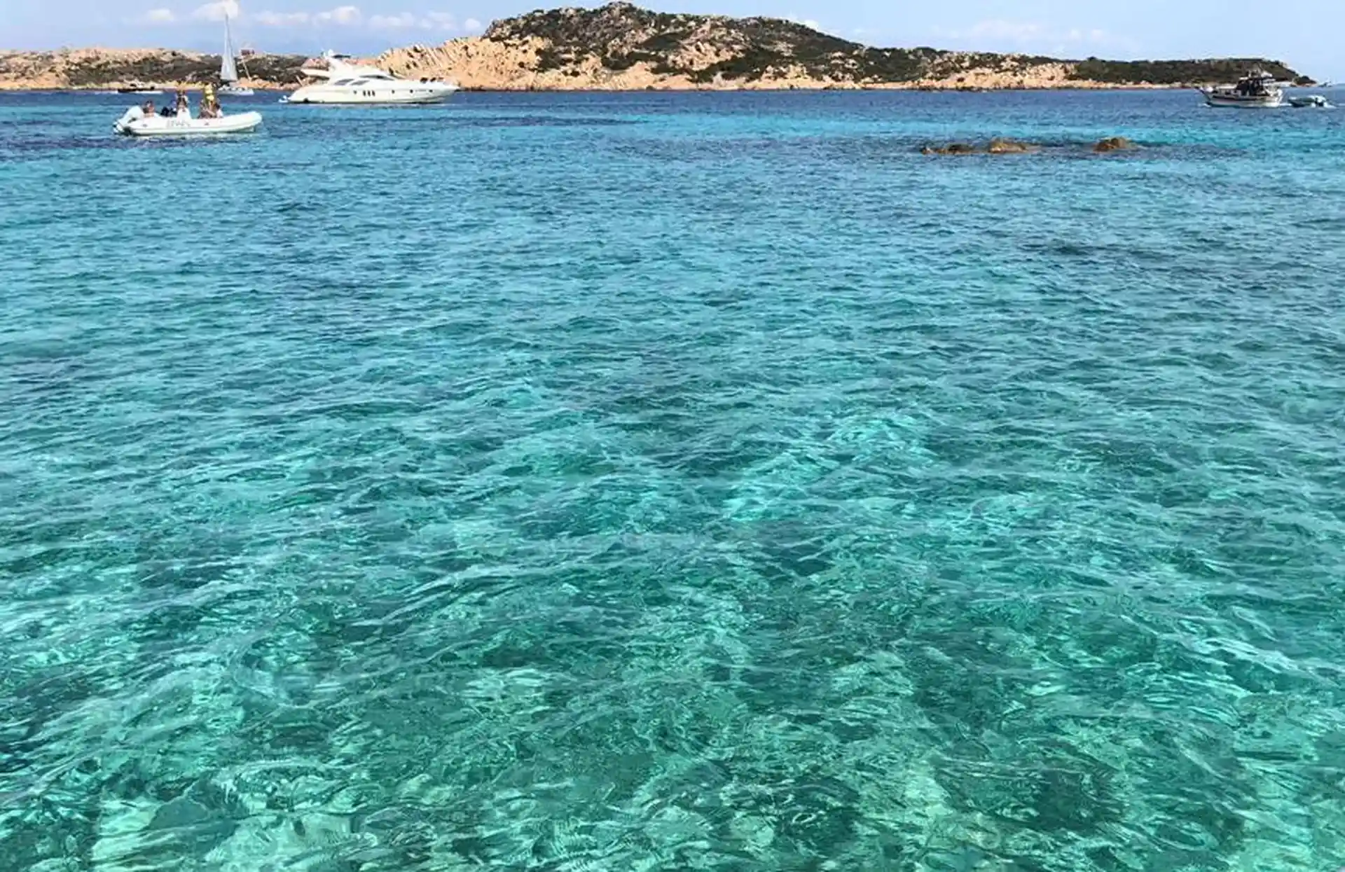 Foto de la actividad