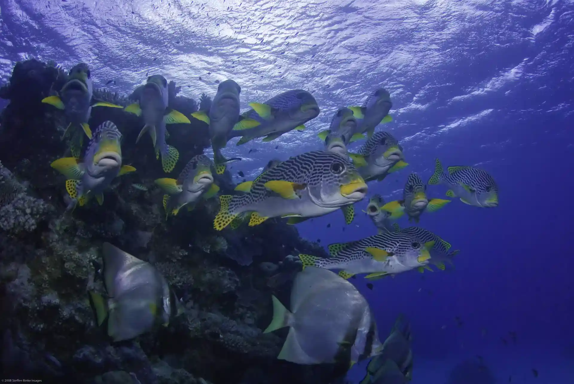 Dive site photo