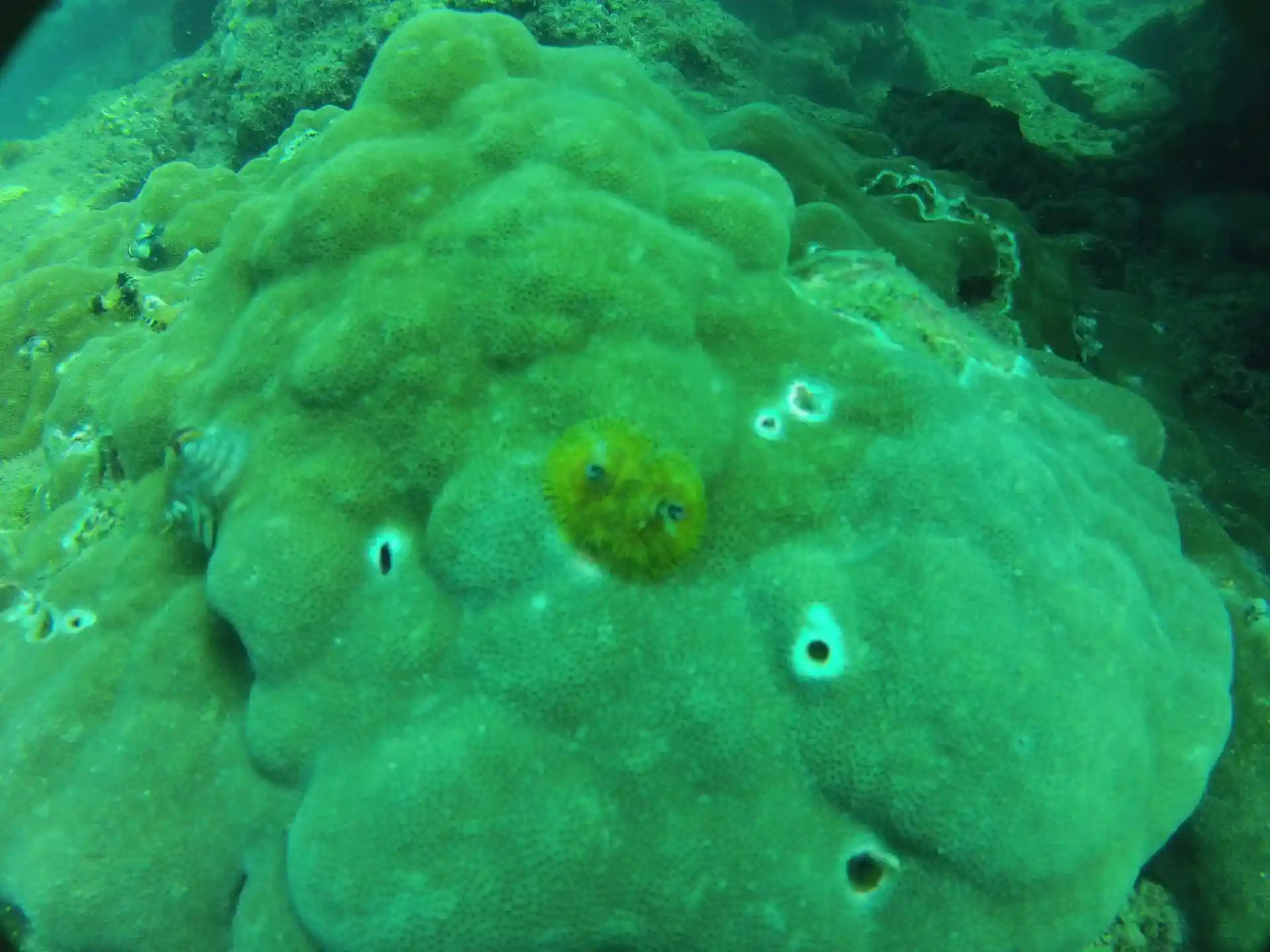 Dive site photo