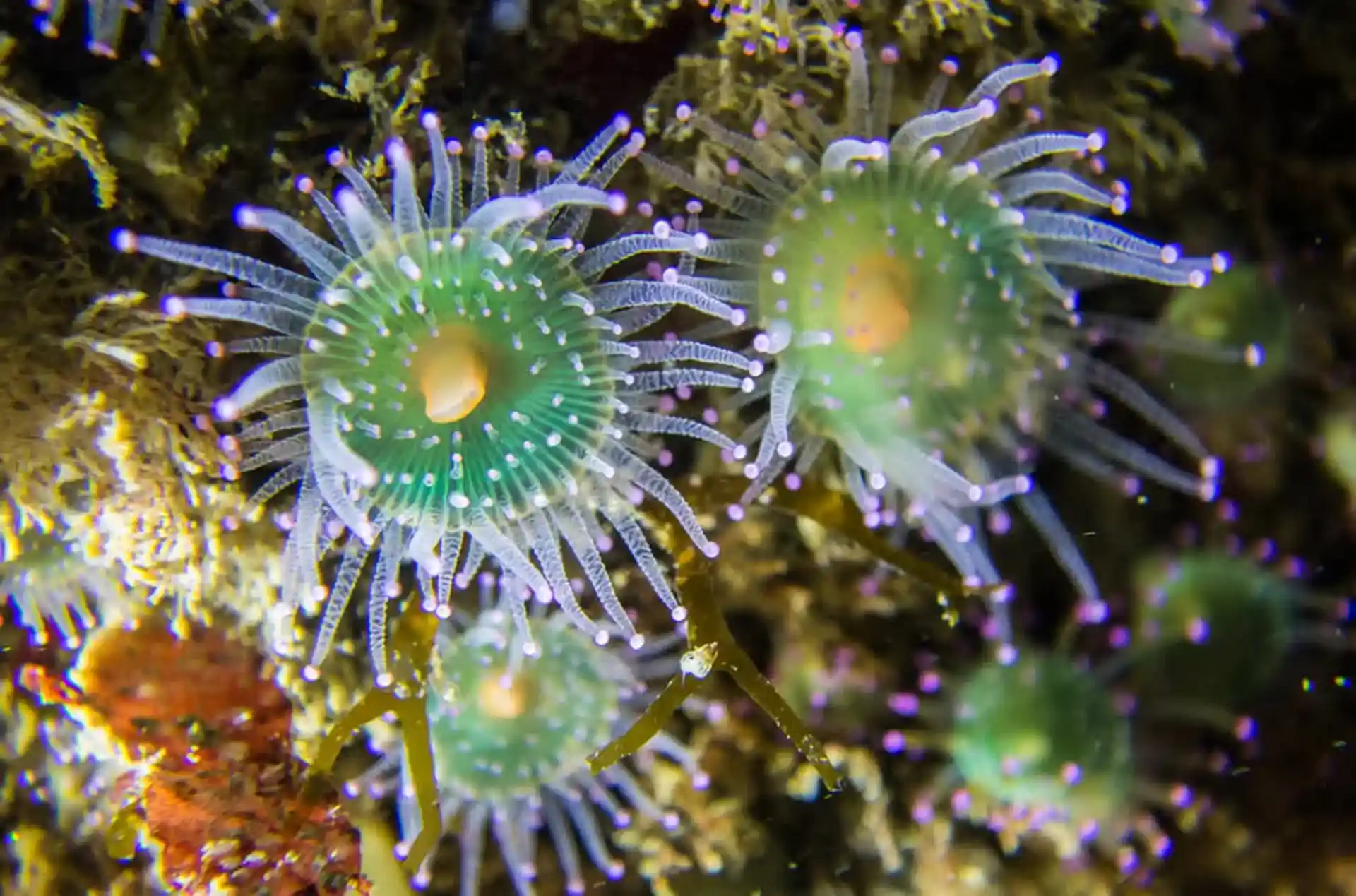 Dive shop photo