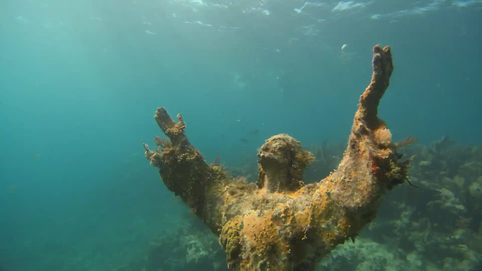 Foto des Tauchplatzes