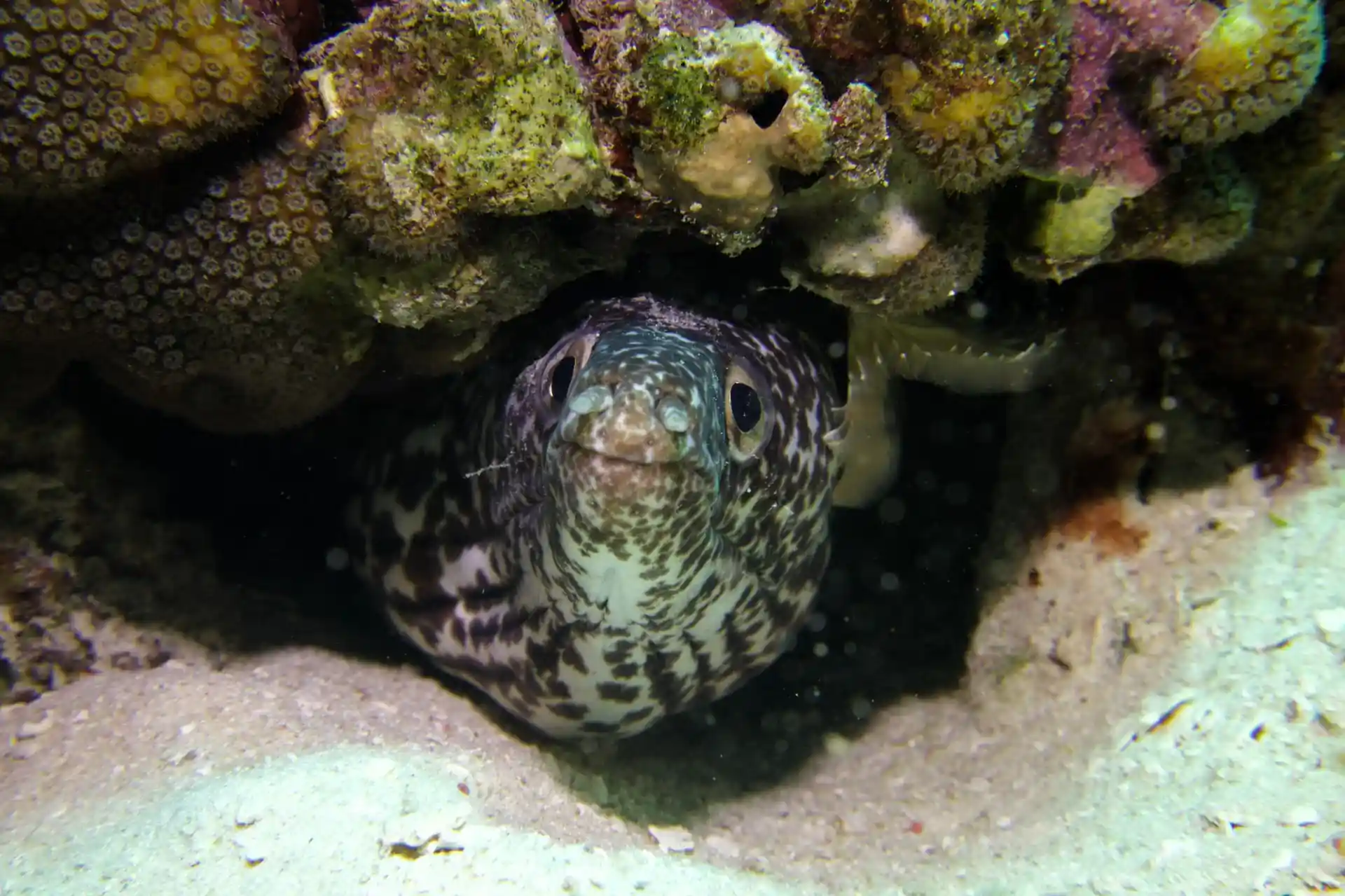 Foto van de duiklocatie