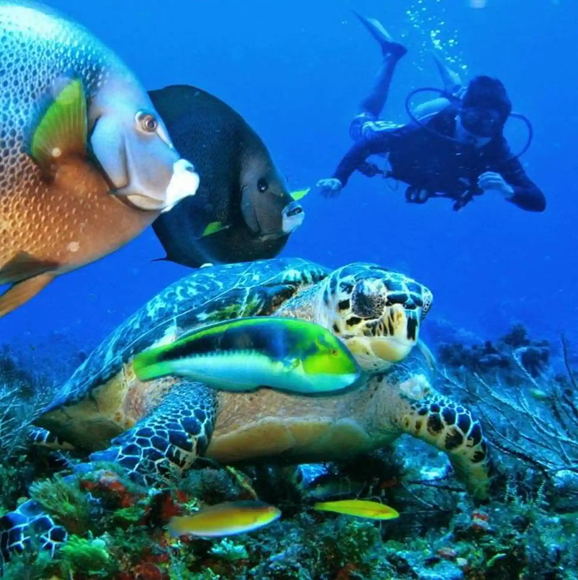 Foto de la actividad