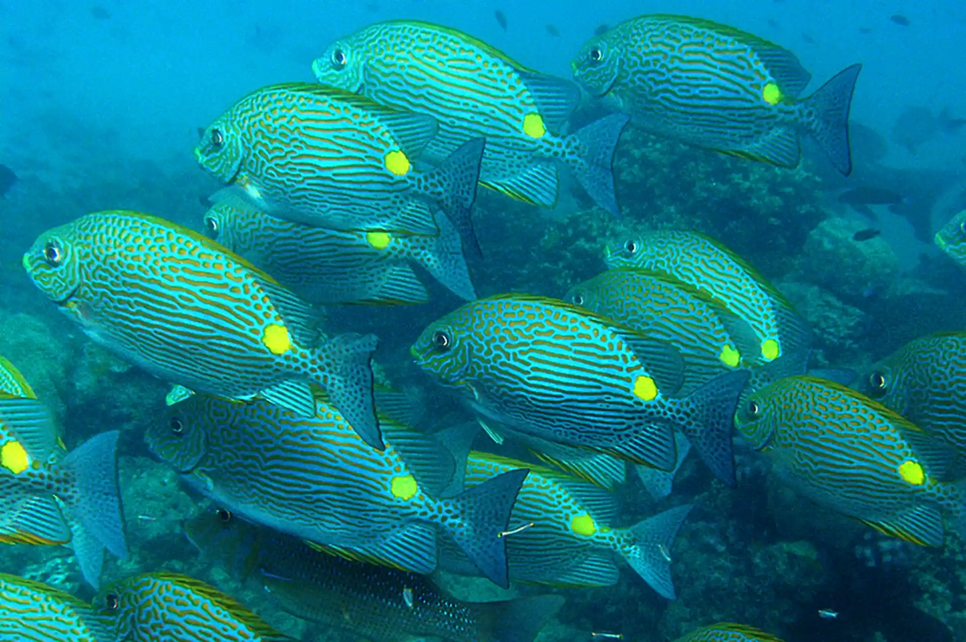 Dive site photo