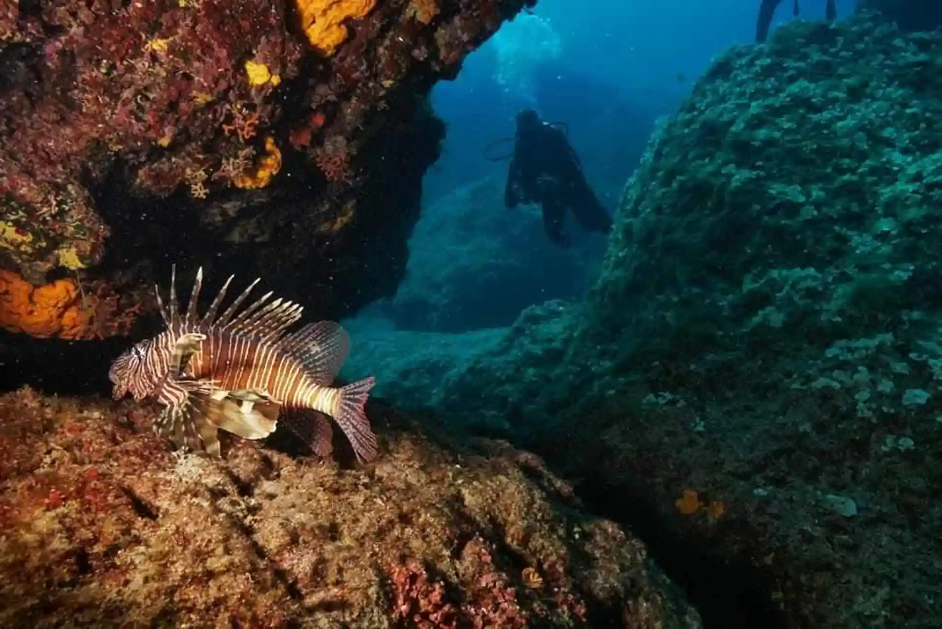 Dive site photo