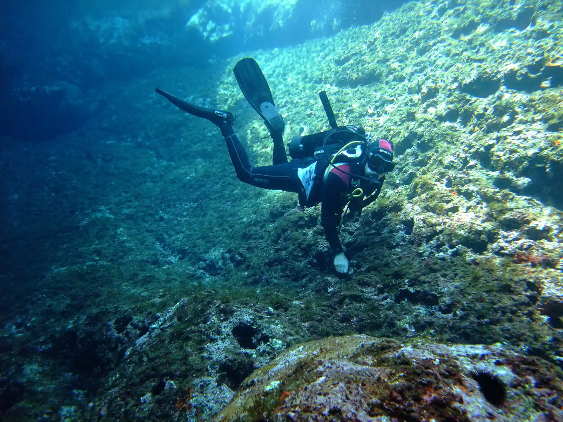 Photo de l'activité