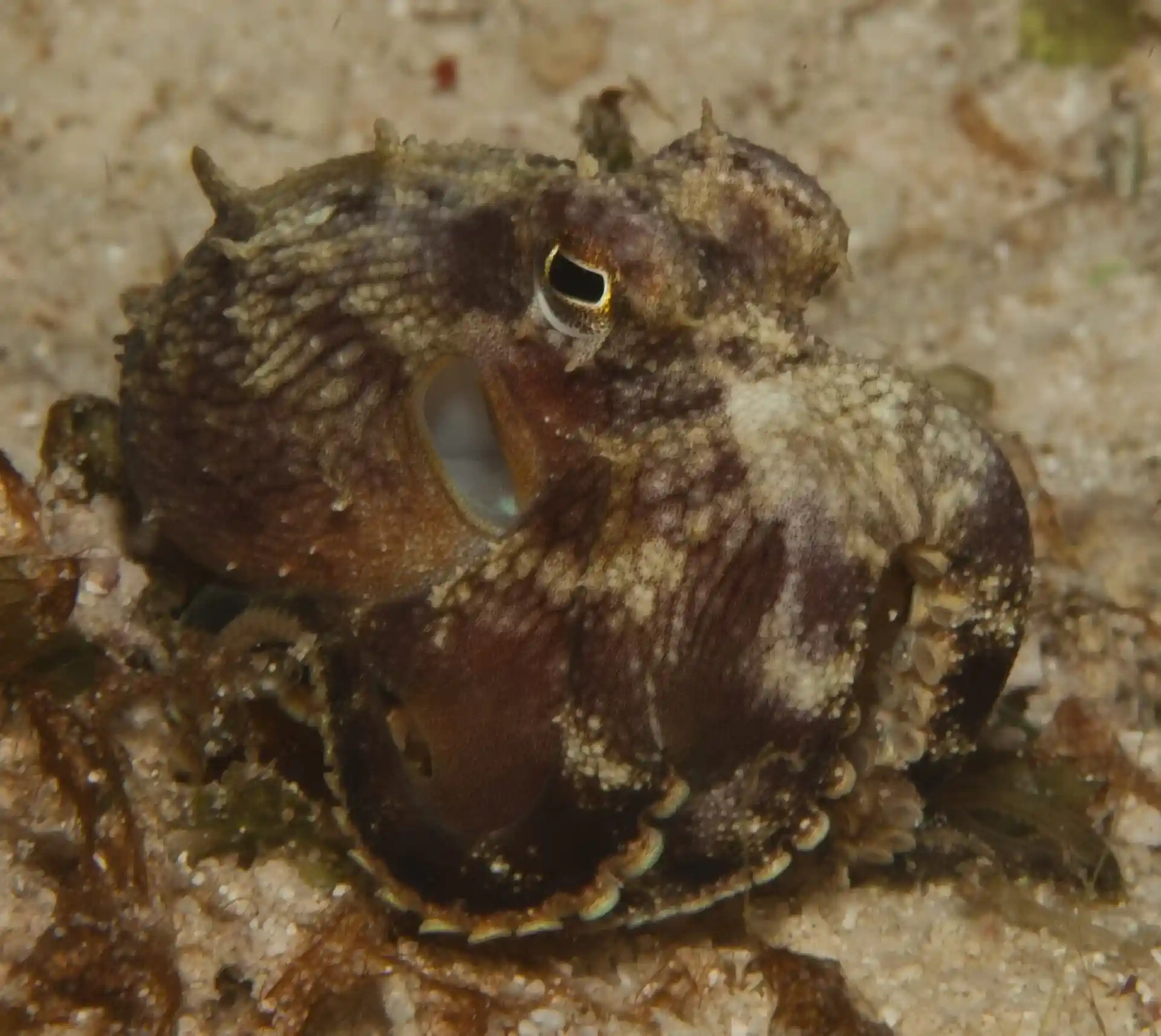 Dive site photo