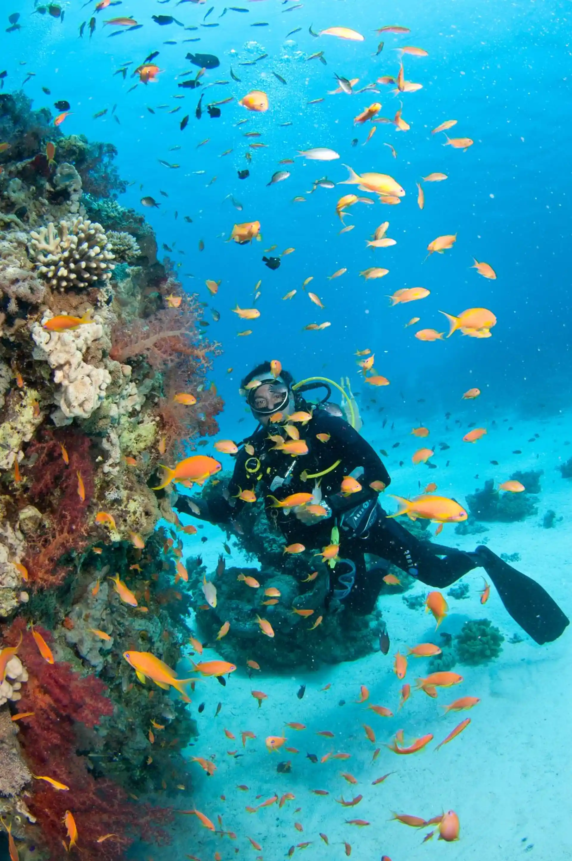 Dive site photo