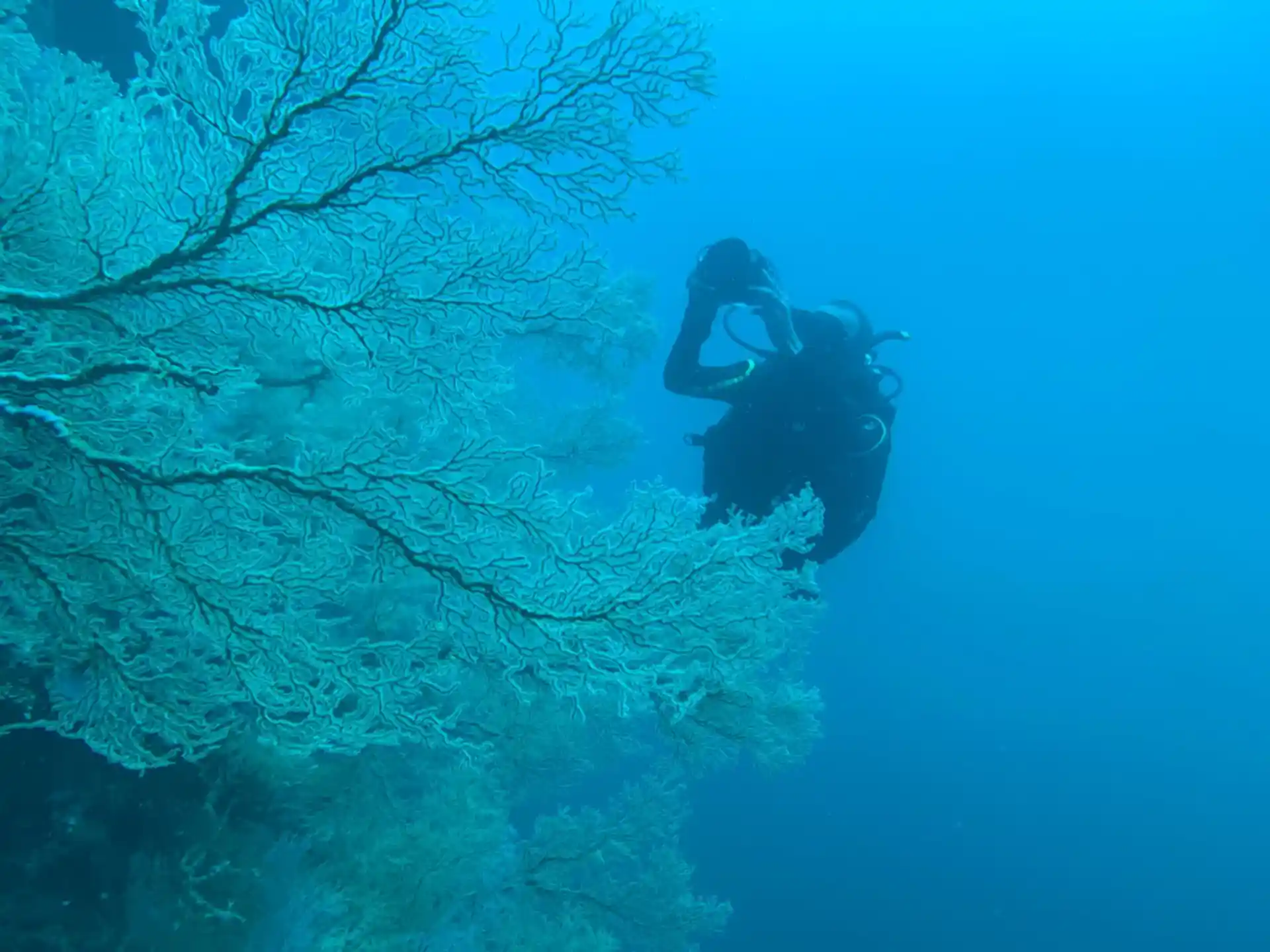 Foto del sitio de buceo