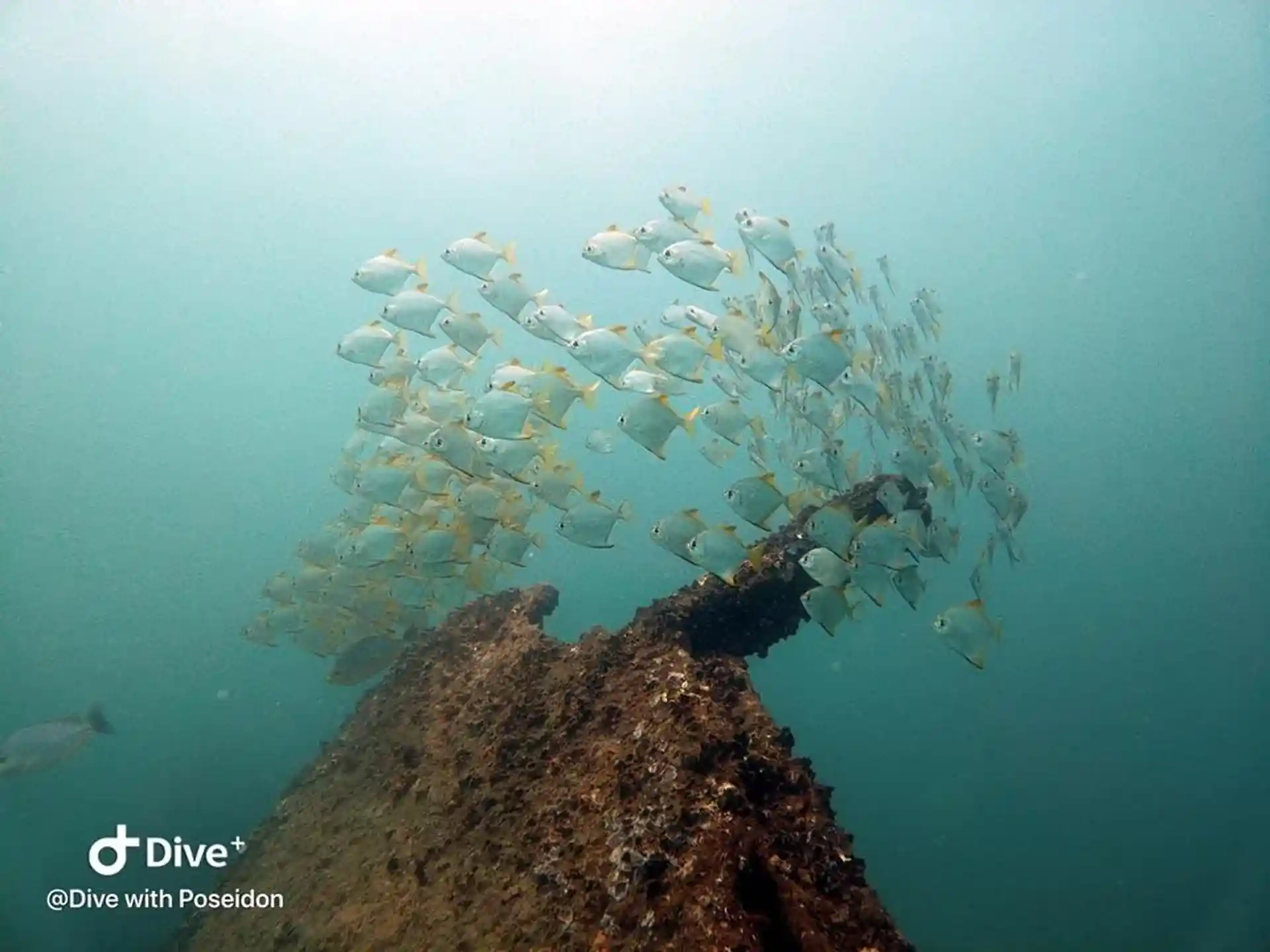 Foto des Tauchplatzes