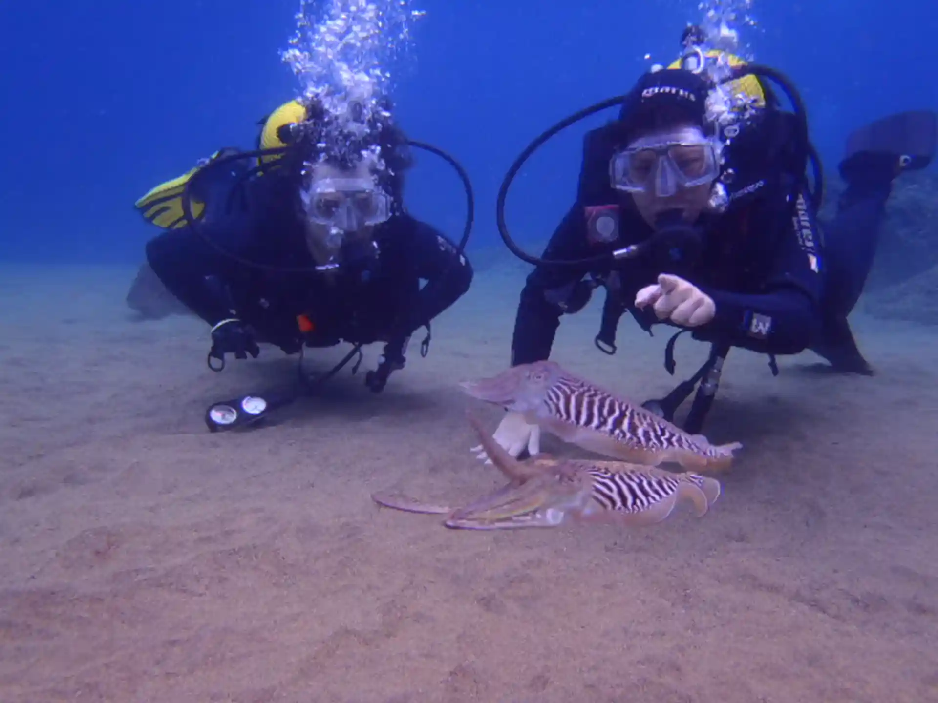 Foto de la actividad