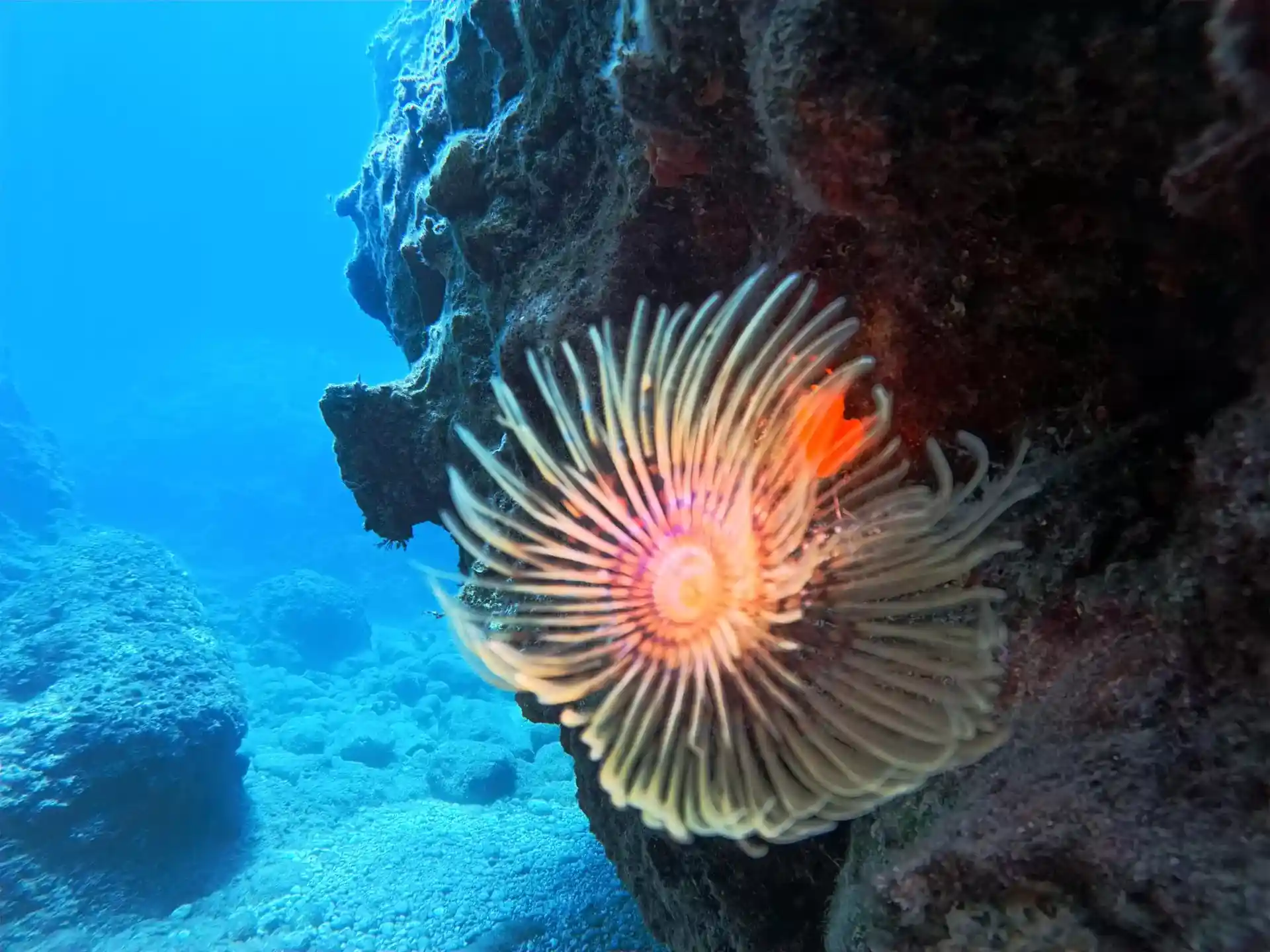 Dive site photo