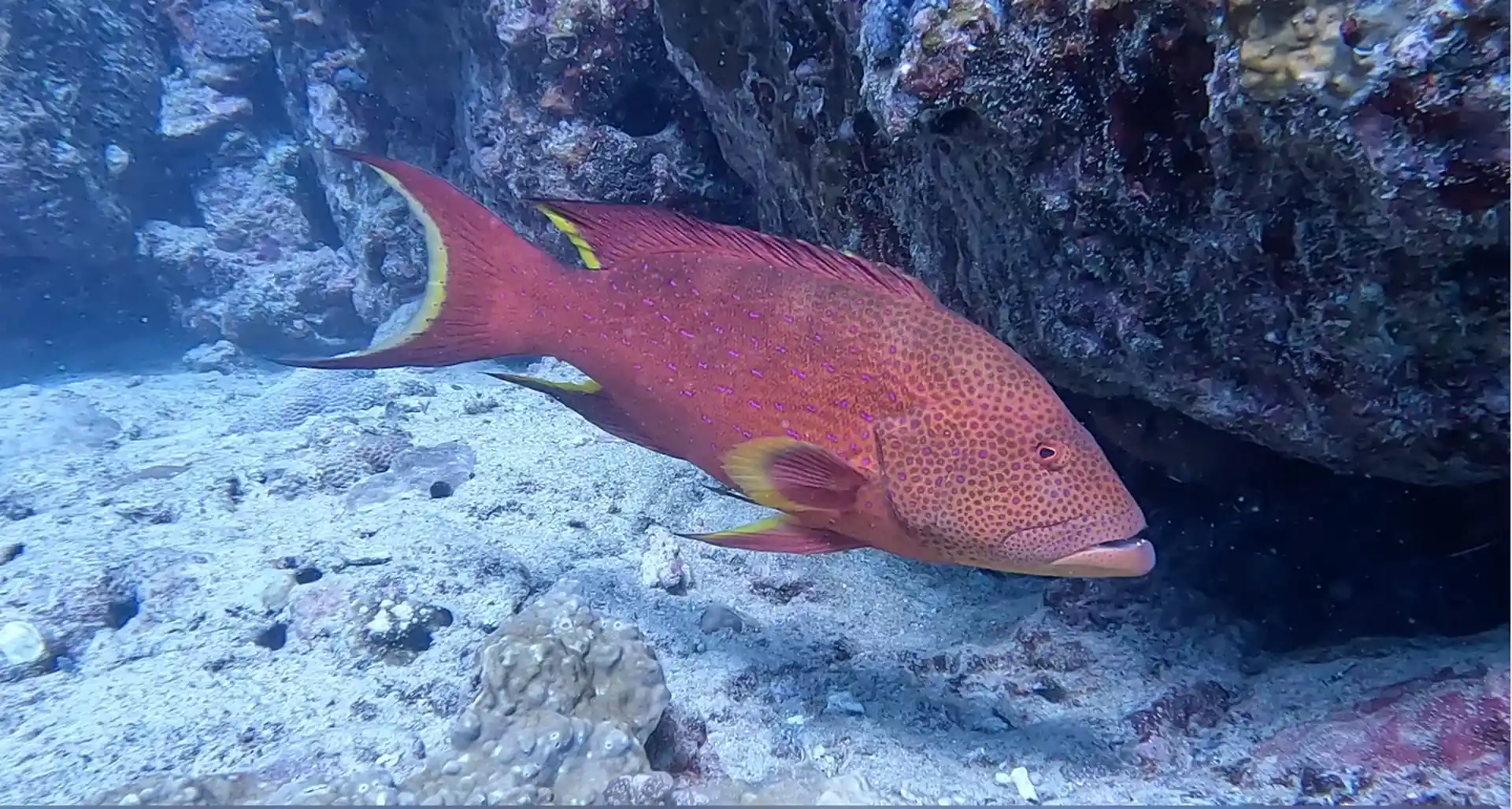 Dive site photo