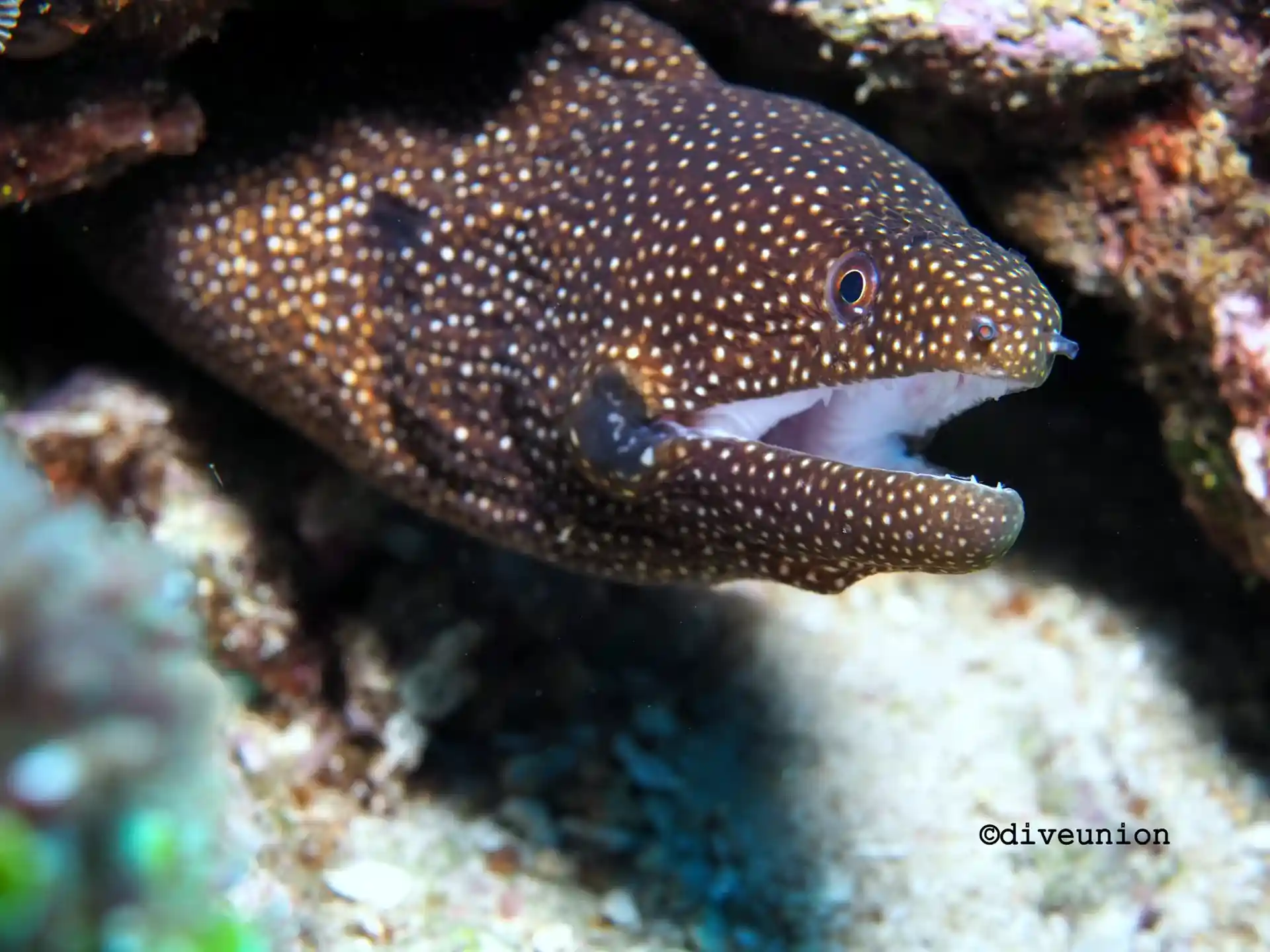 Dive site photo