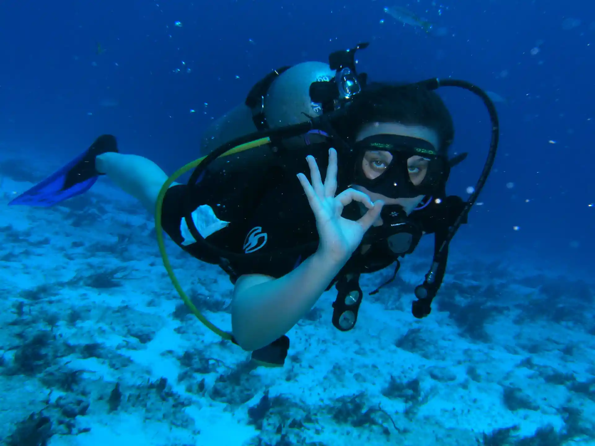 Become  a certified diver! and explore the marine life with us!