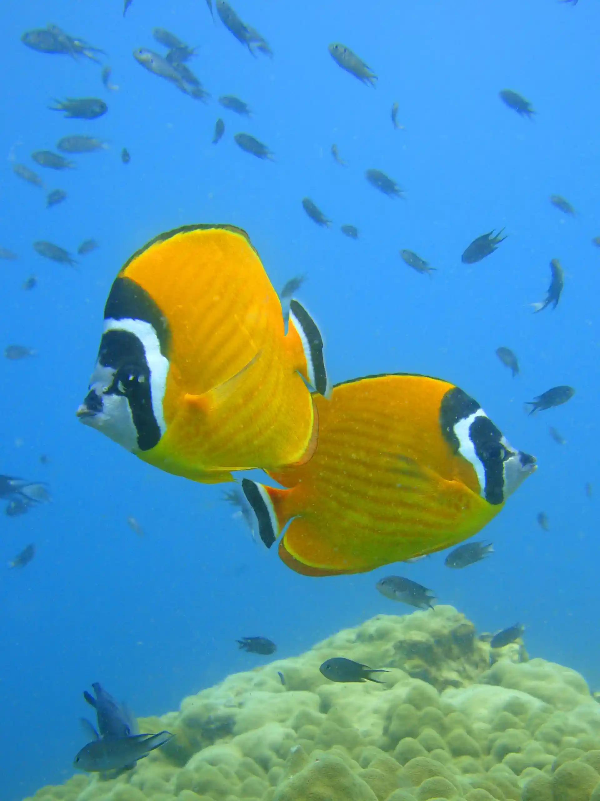 Dive shop photo