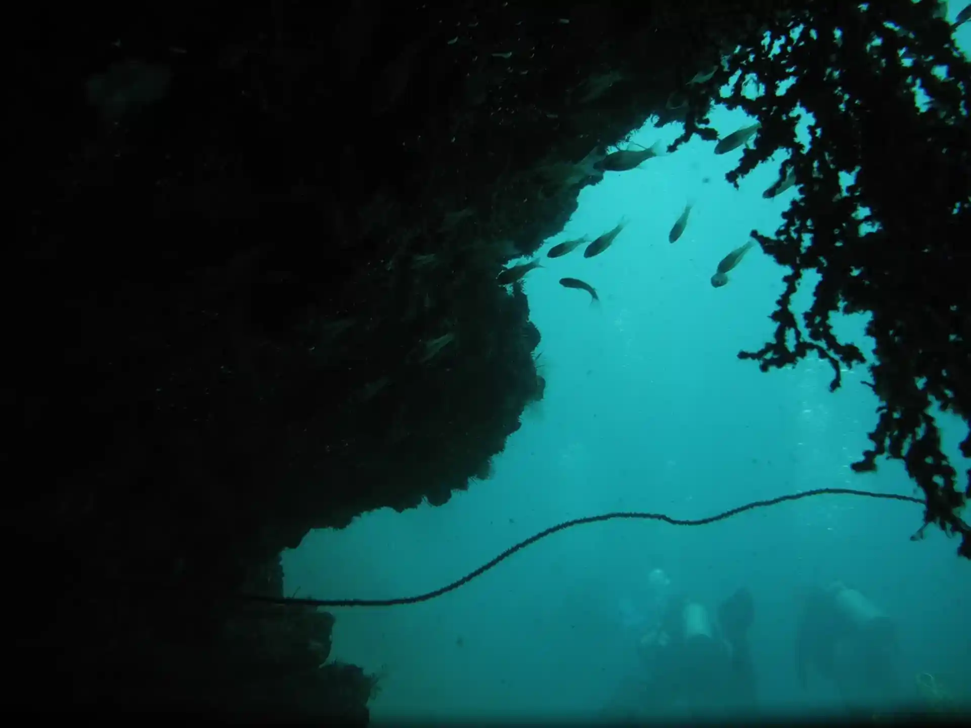 다이빙 포인트 사진