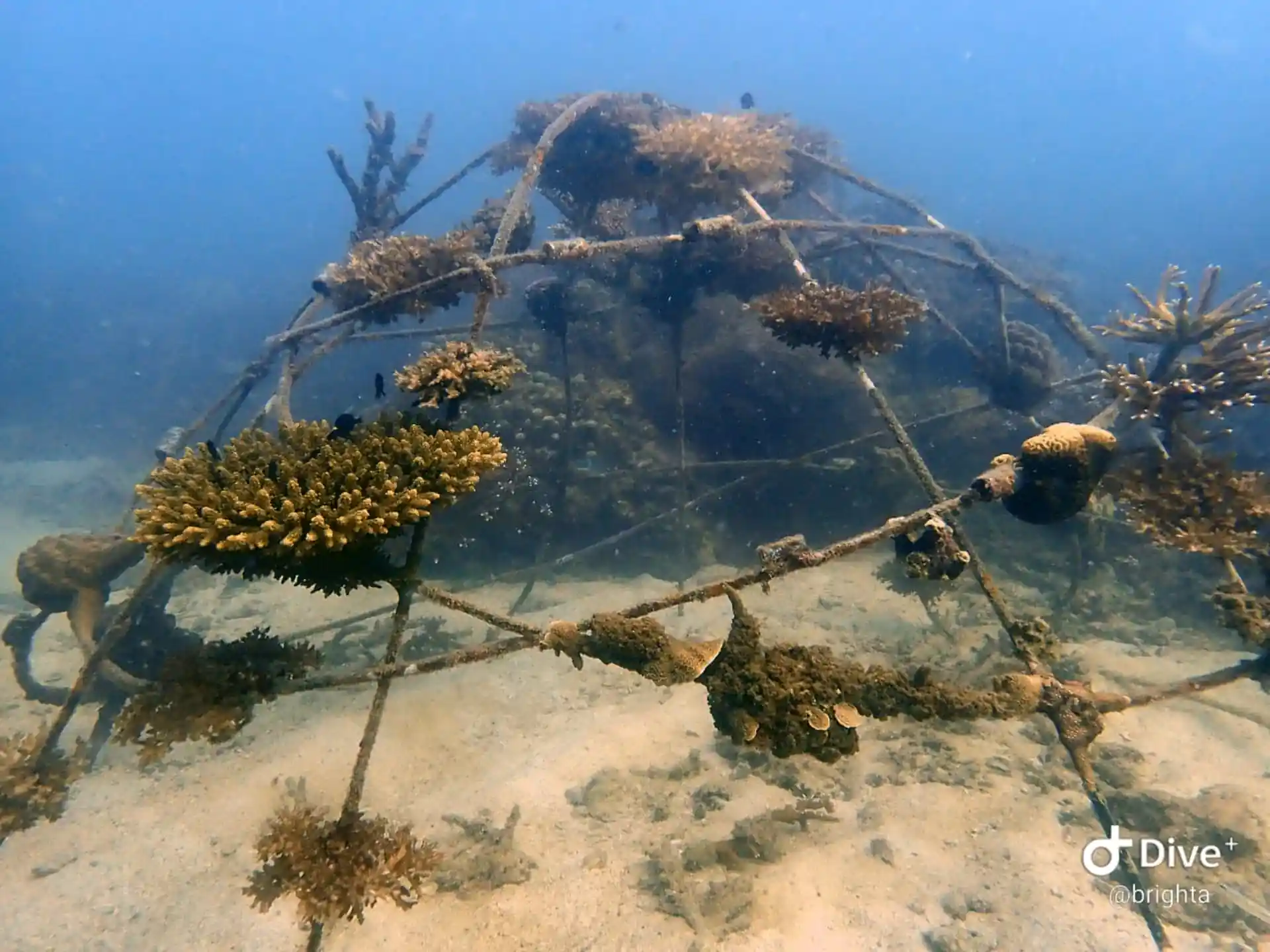 다이빙 포인트 사진