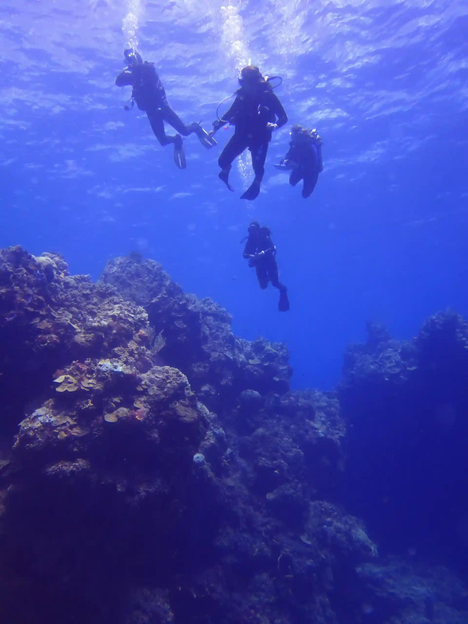 Activity photo
