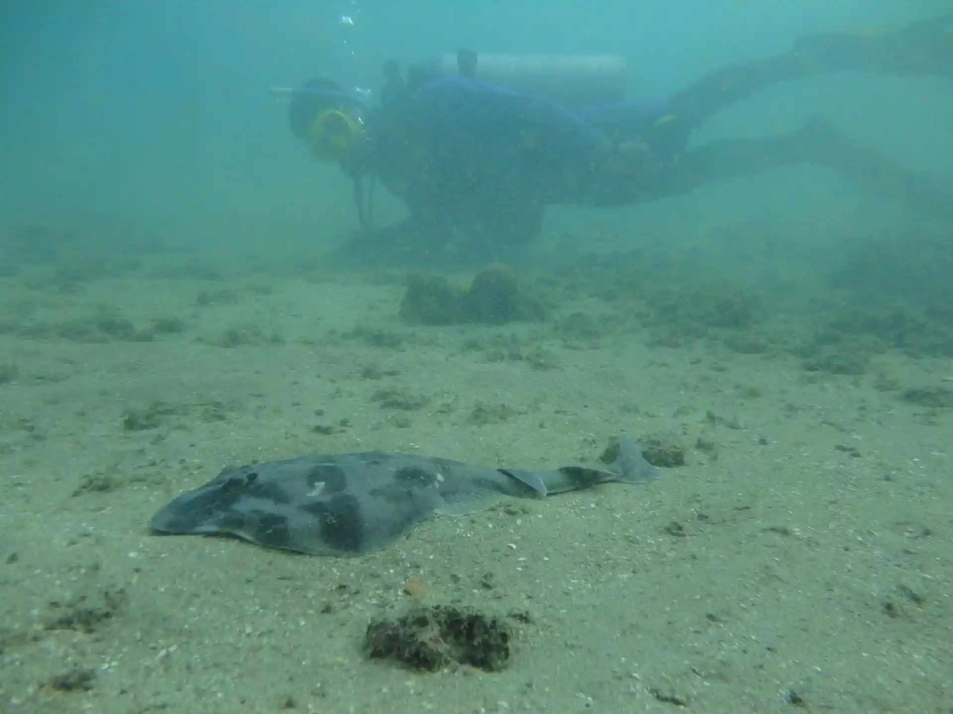 Dive site photo
