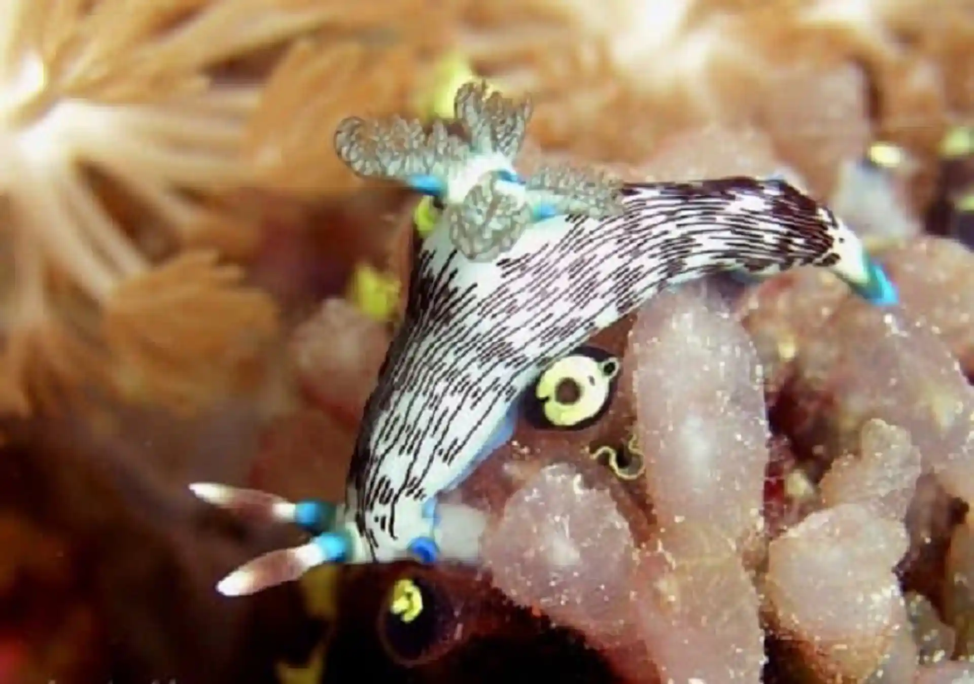 Photo du site de plongée