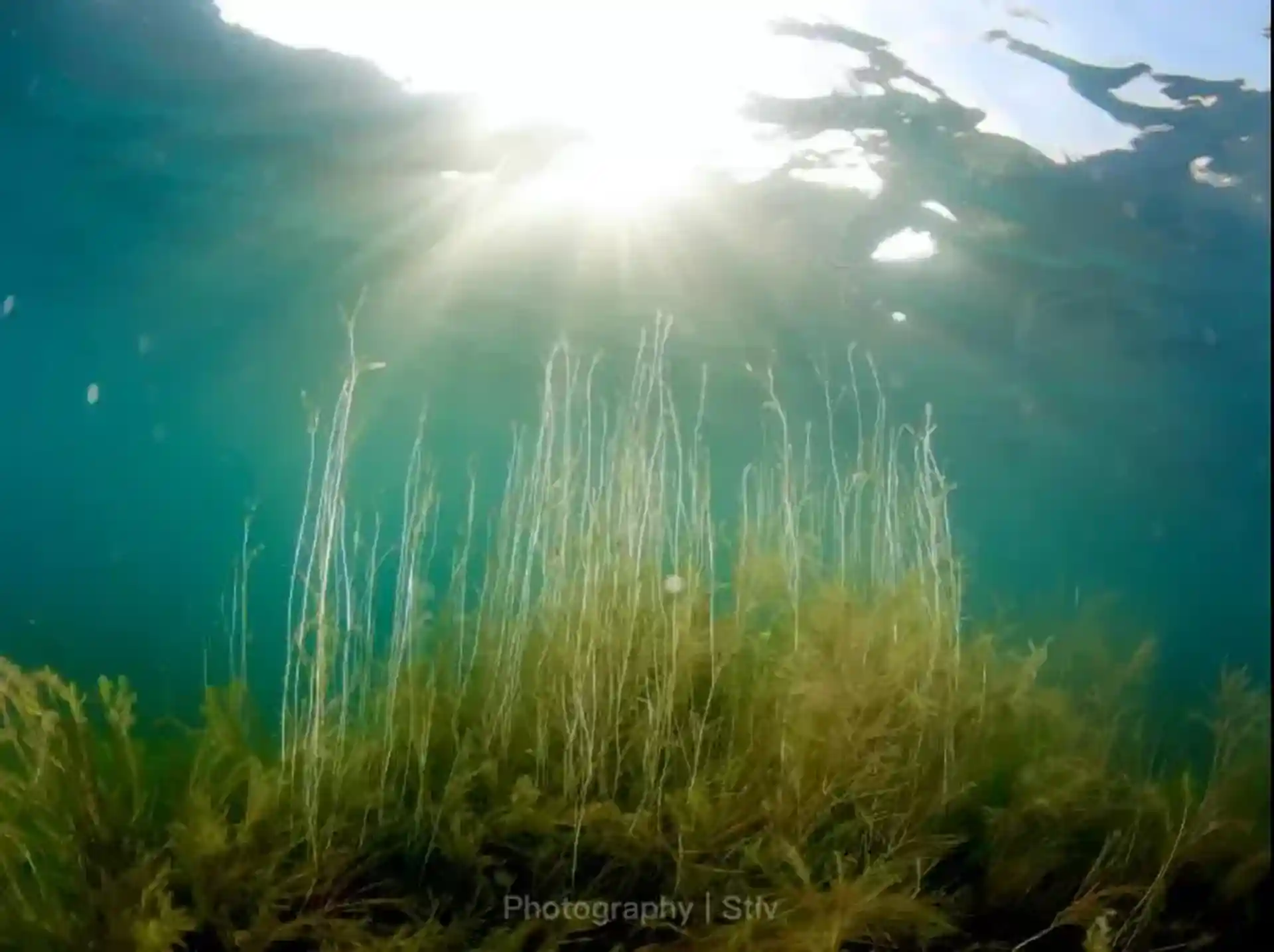 Foto des Tauchplatzes