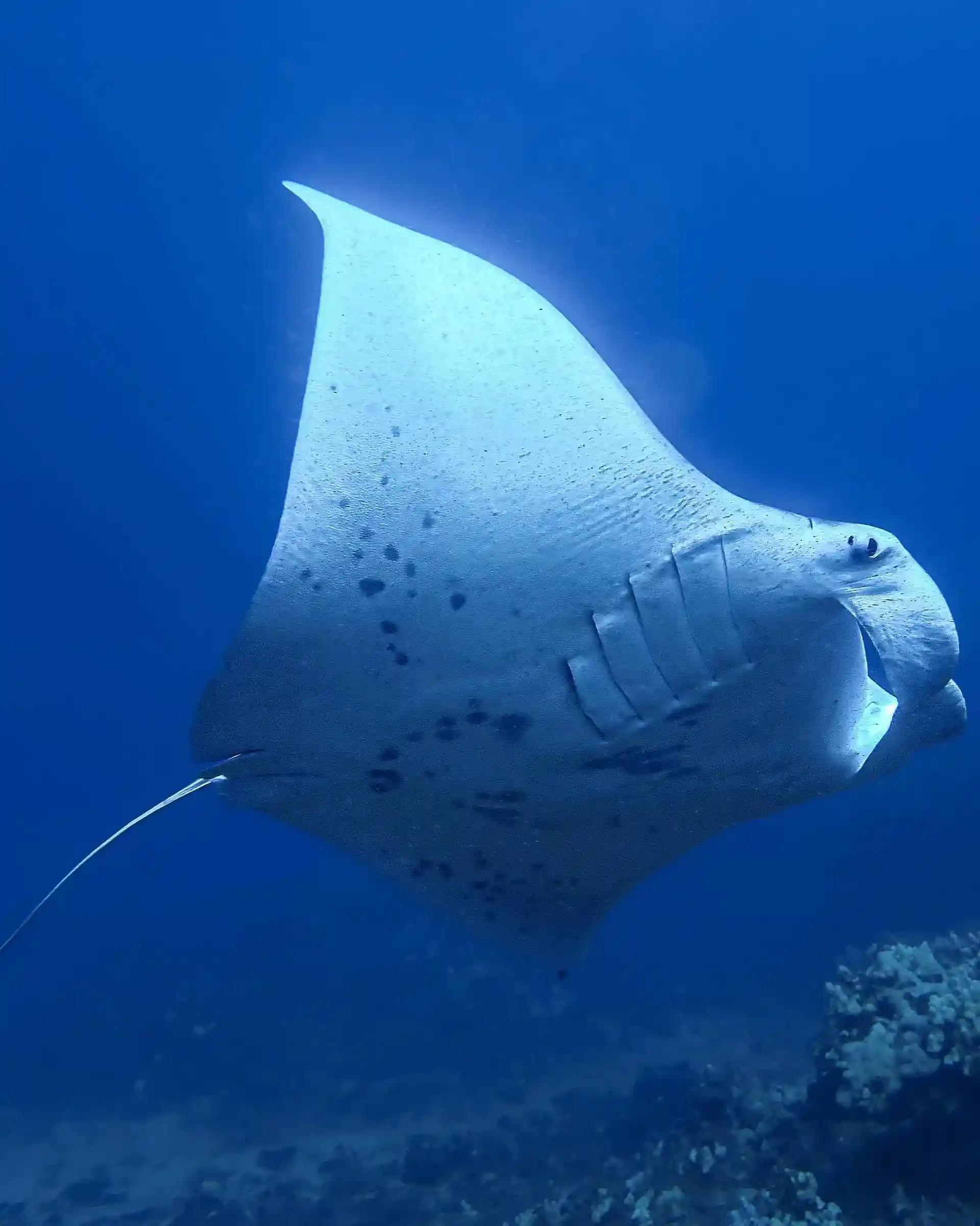 Dive shop photo
