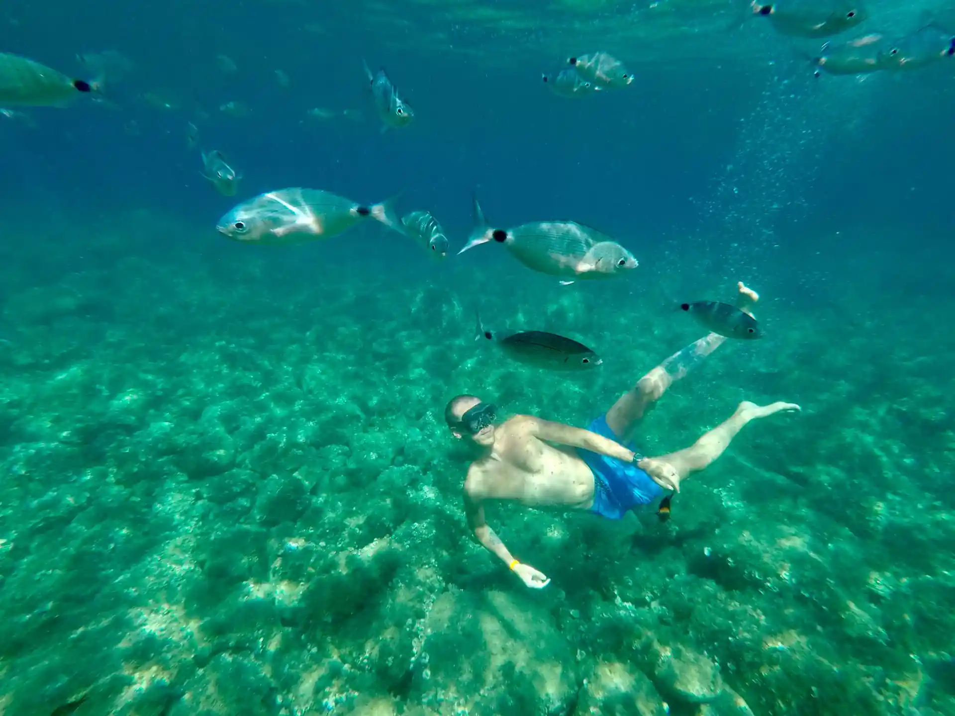 Asseconda l'irrefrenabile richiamo del mare
