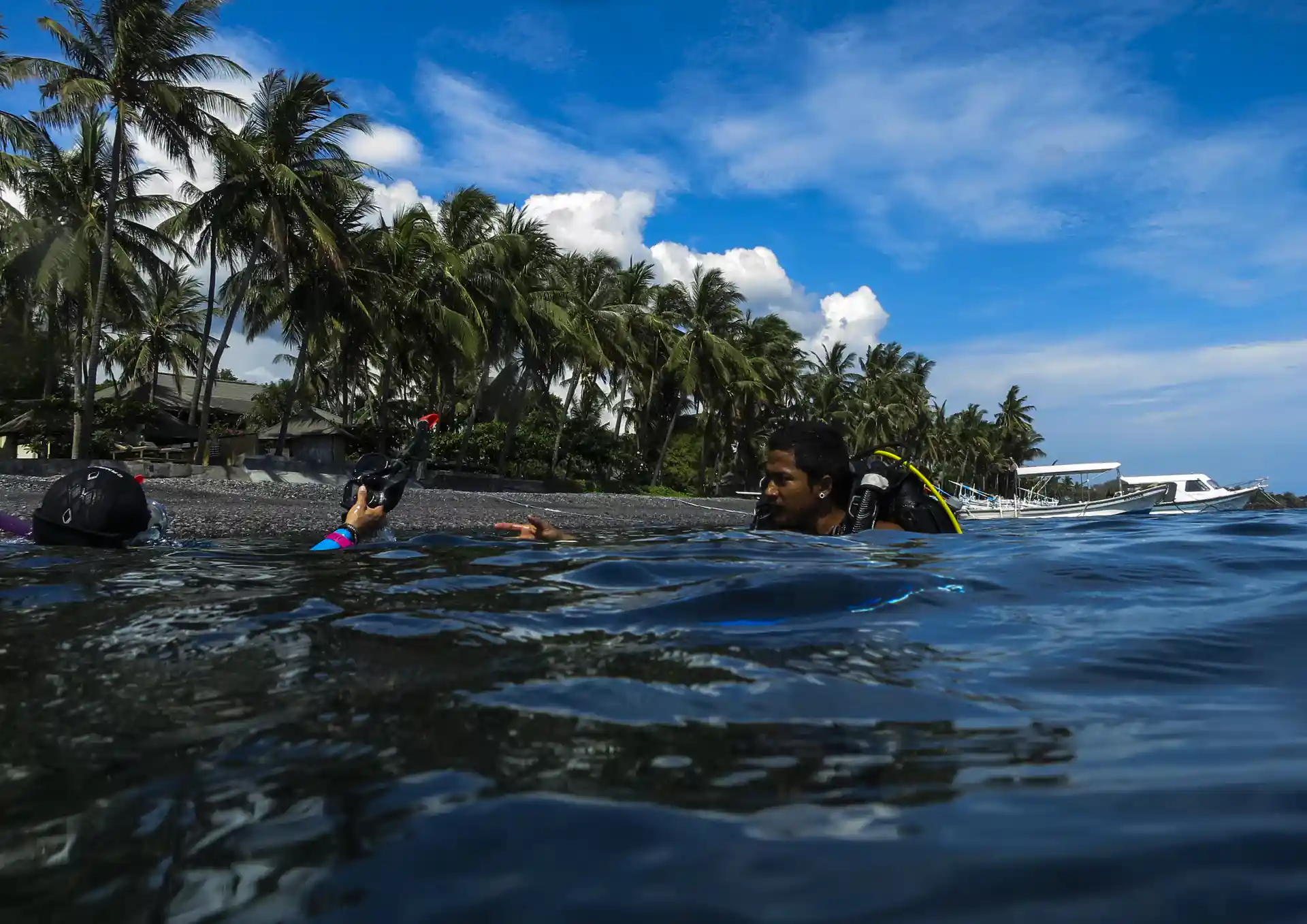 Photo de l'activité