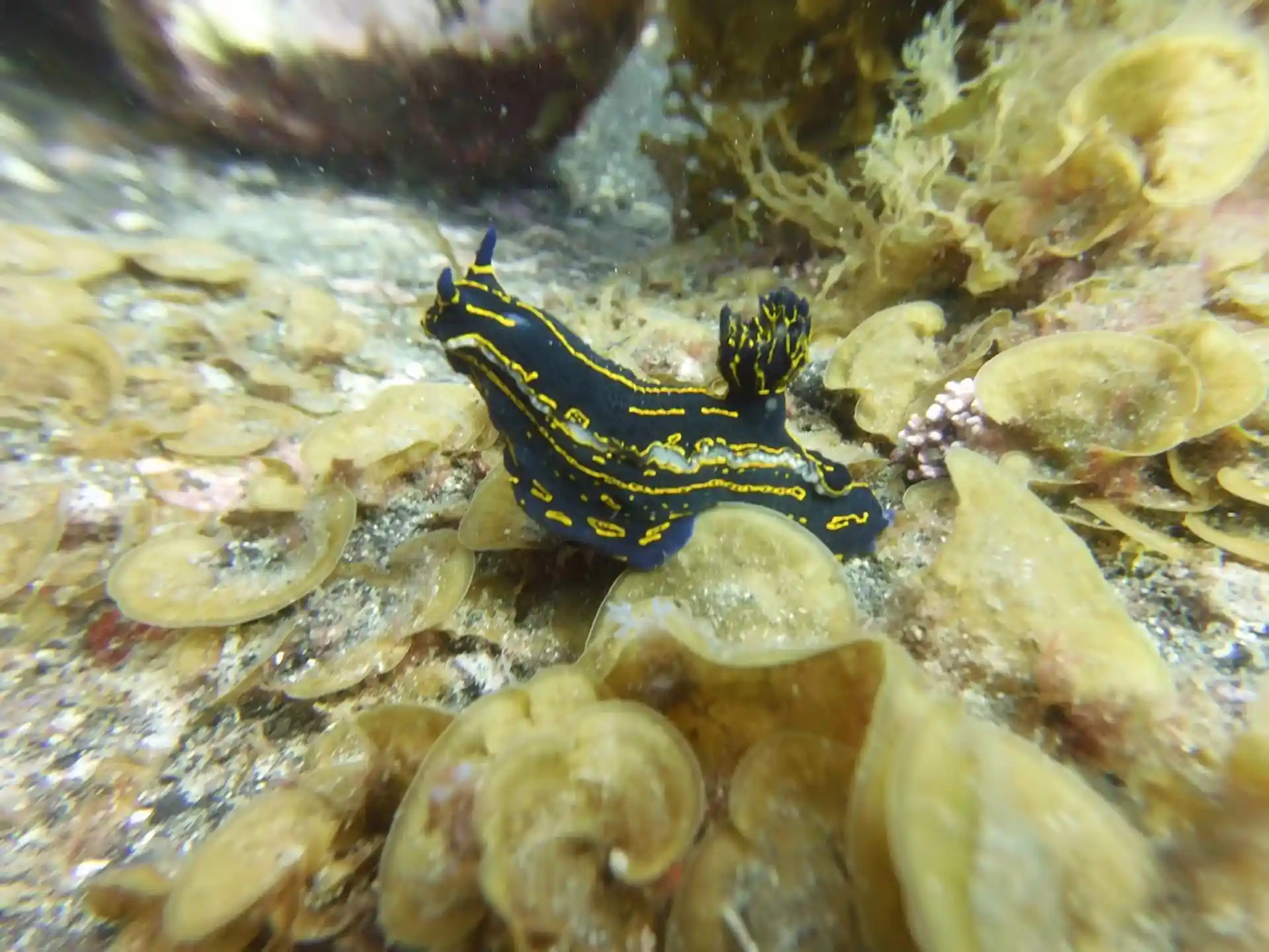 Dive site photo