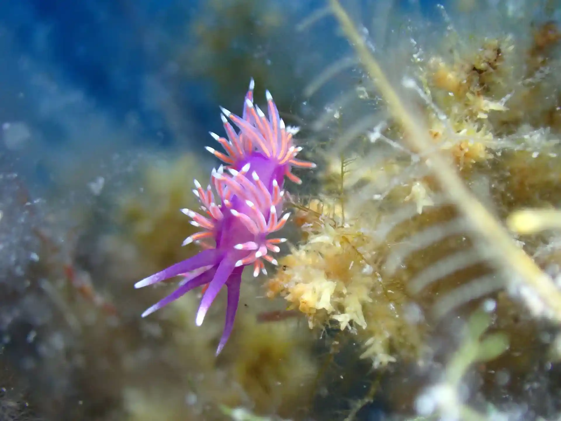 다이빙 포인트 사진