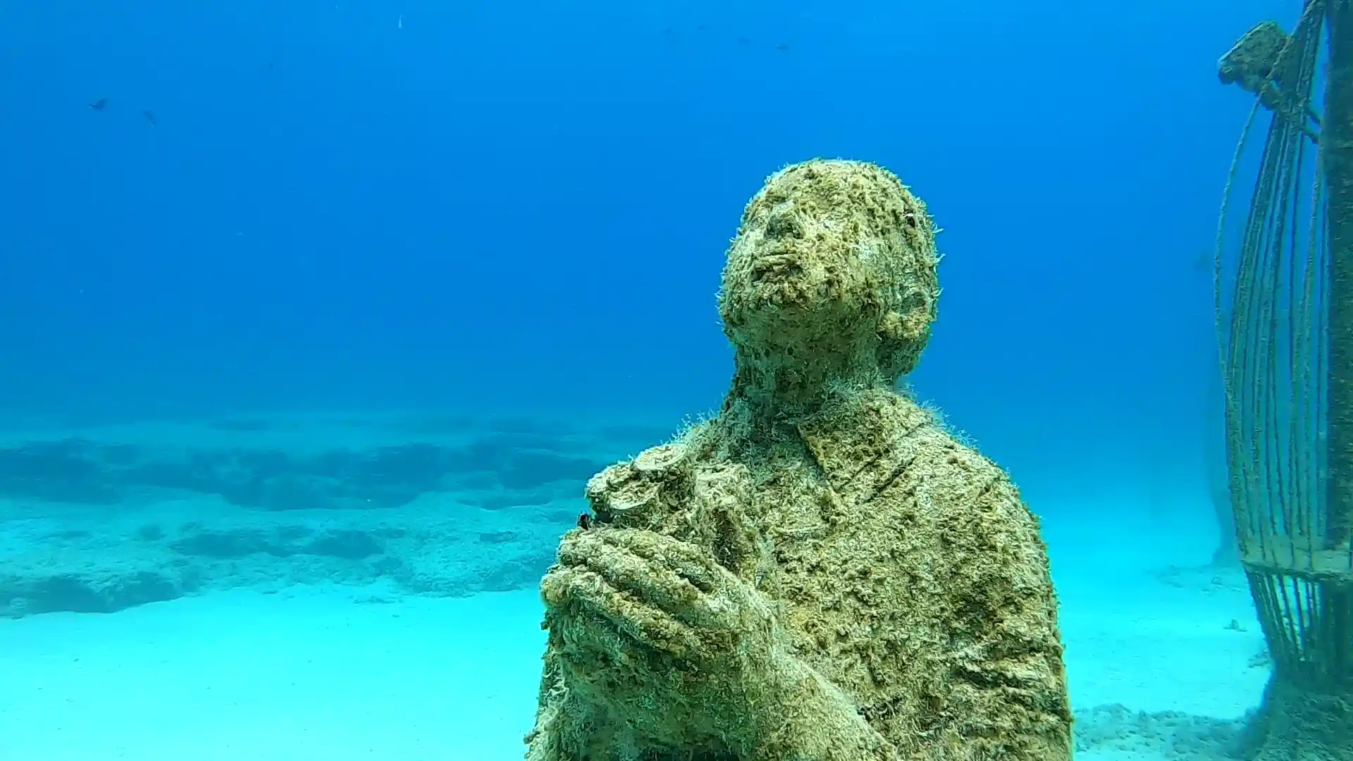 Foto de la actividad