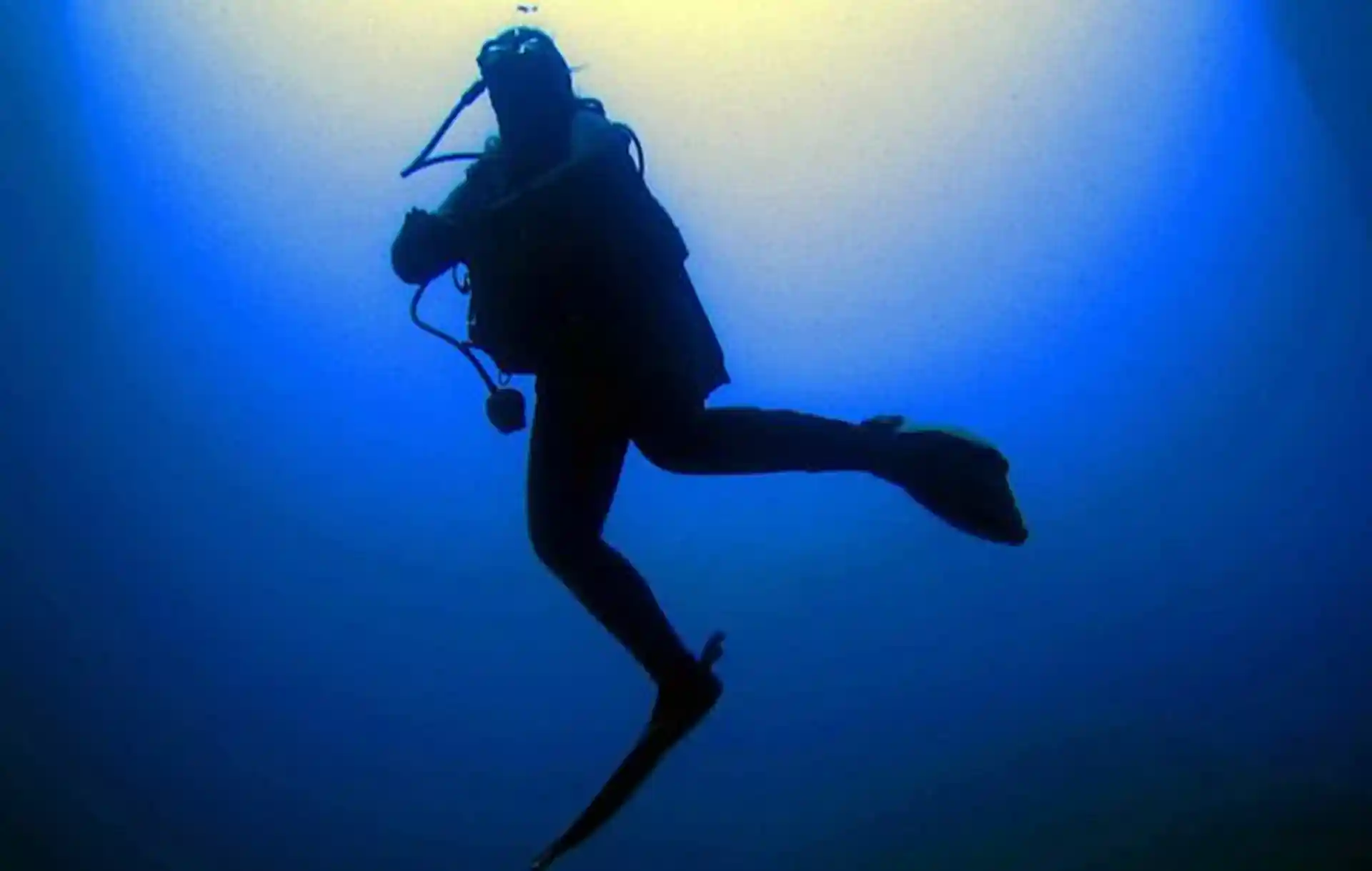 Photo de l'activité