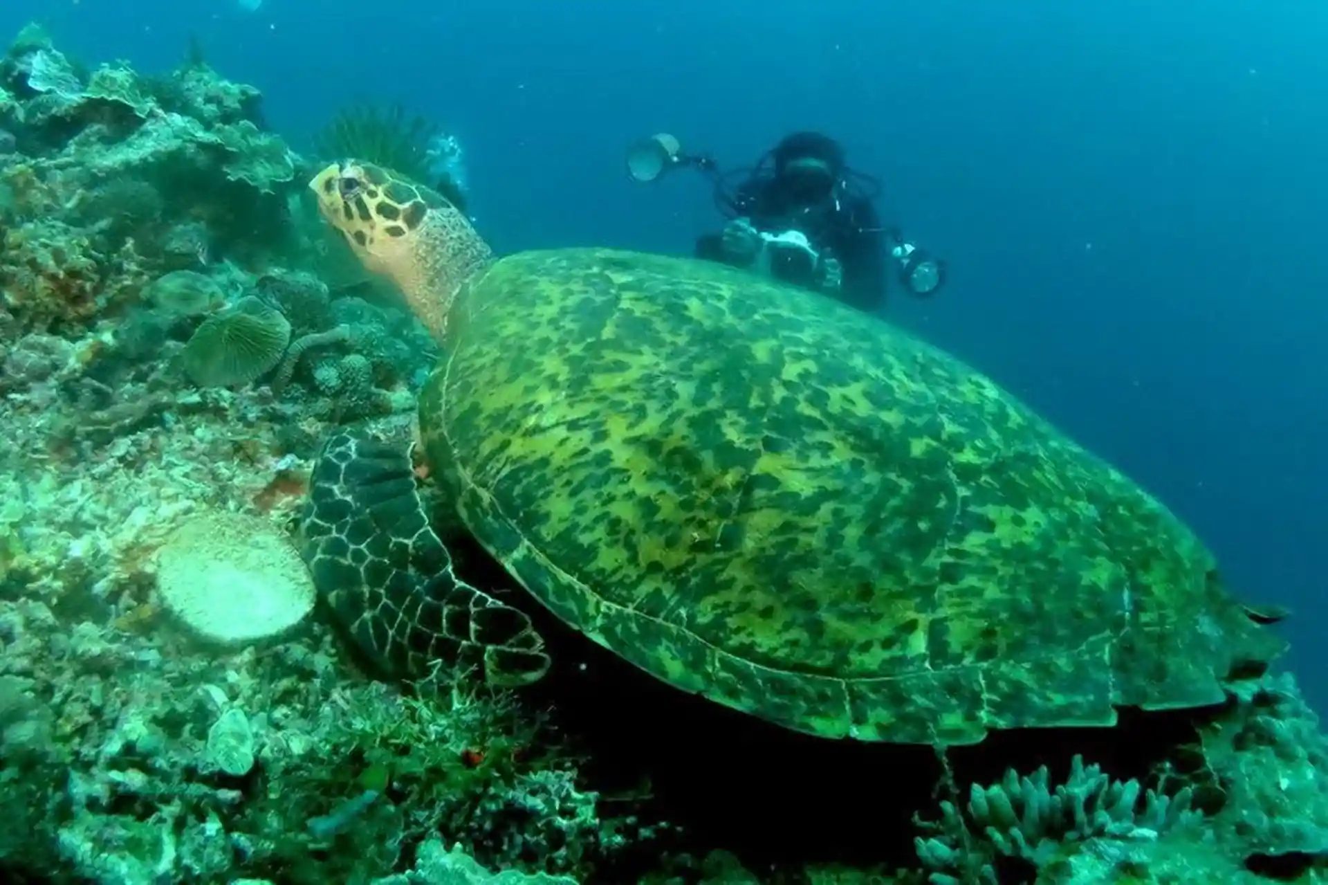 Foto des Tauchplatzes