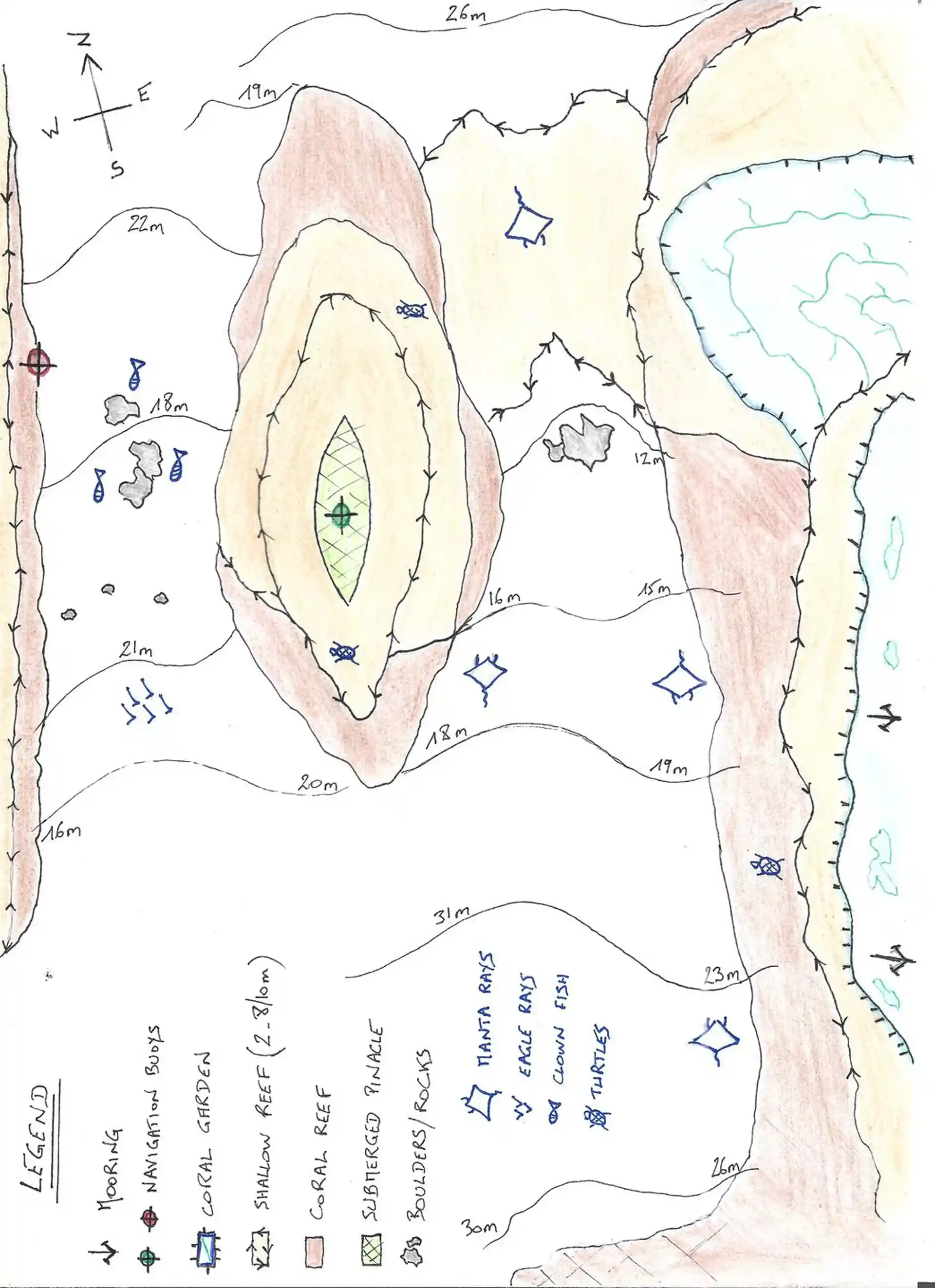 ダイビングサイトの写真