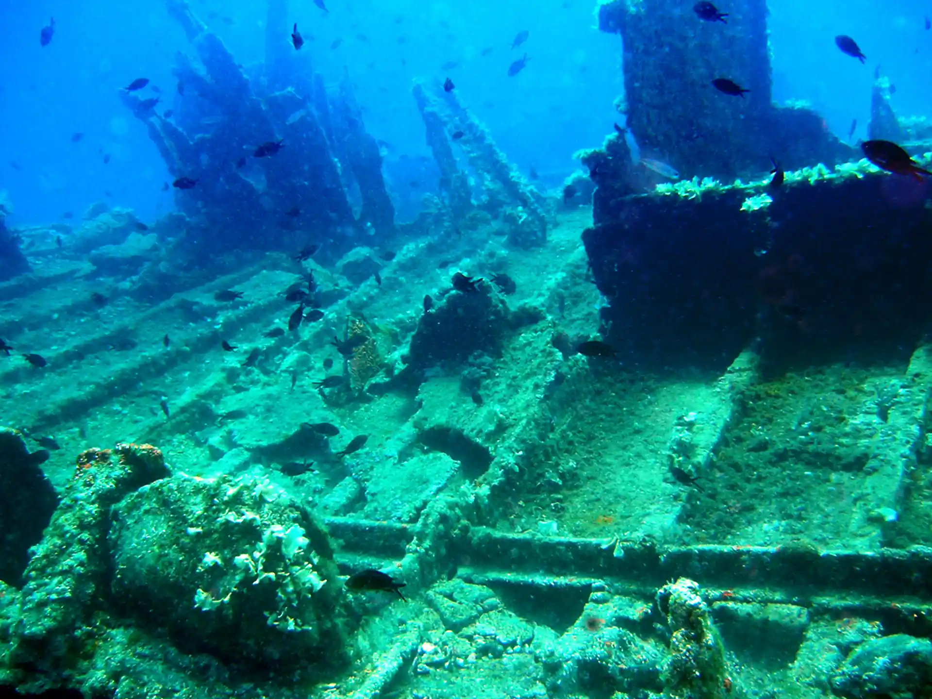 Foto van de duiklocatie