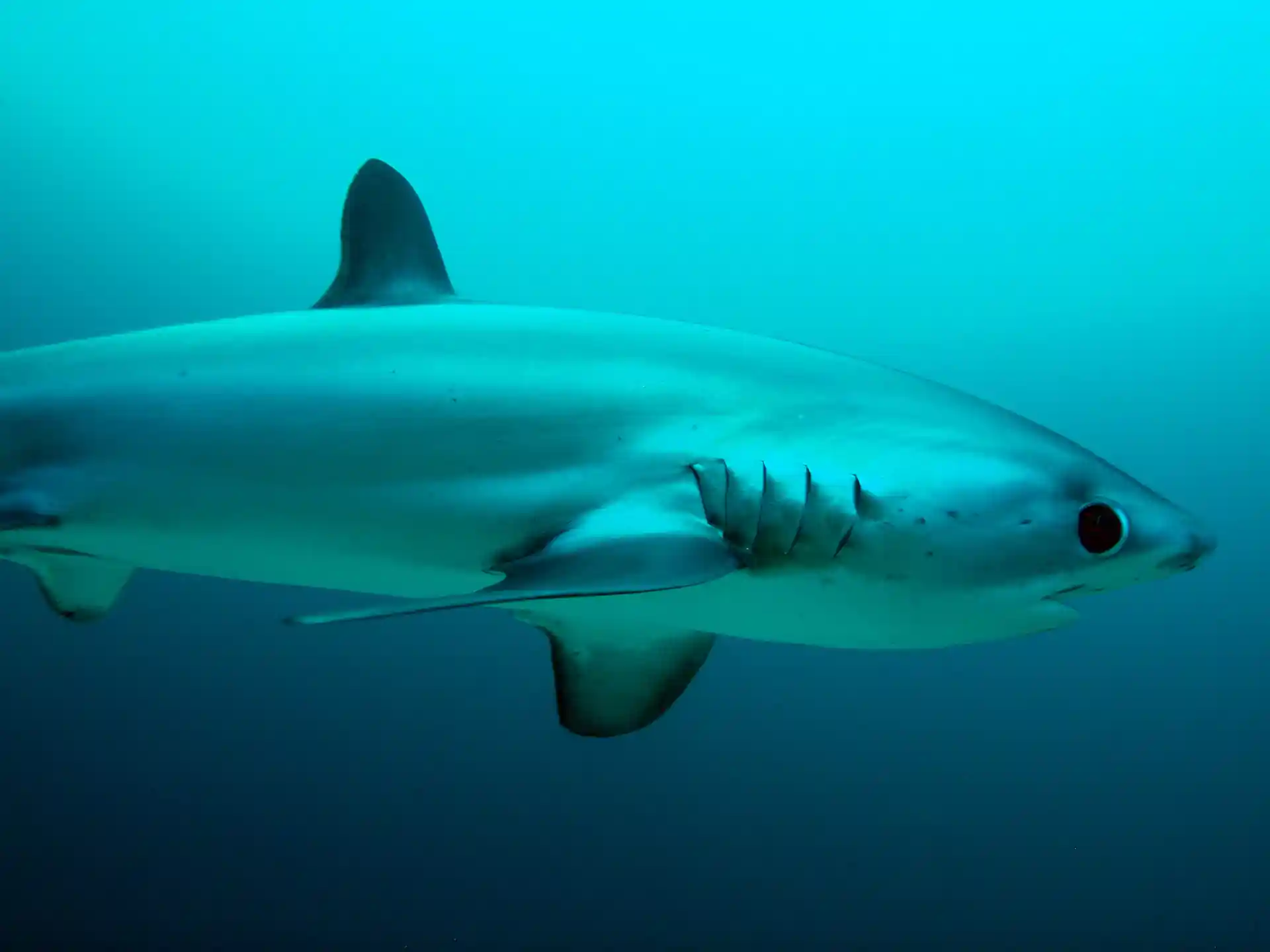 アクティビティ写真