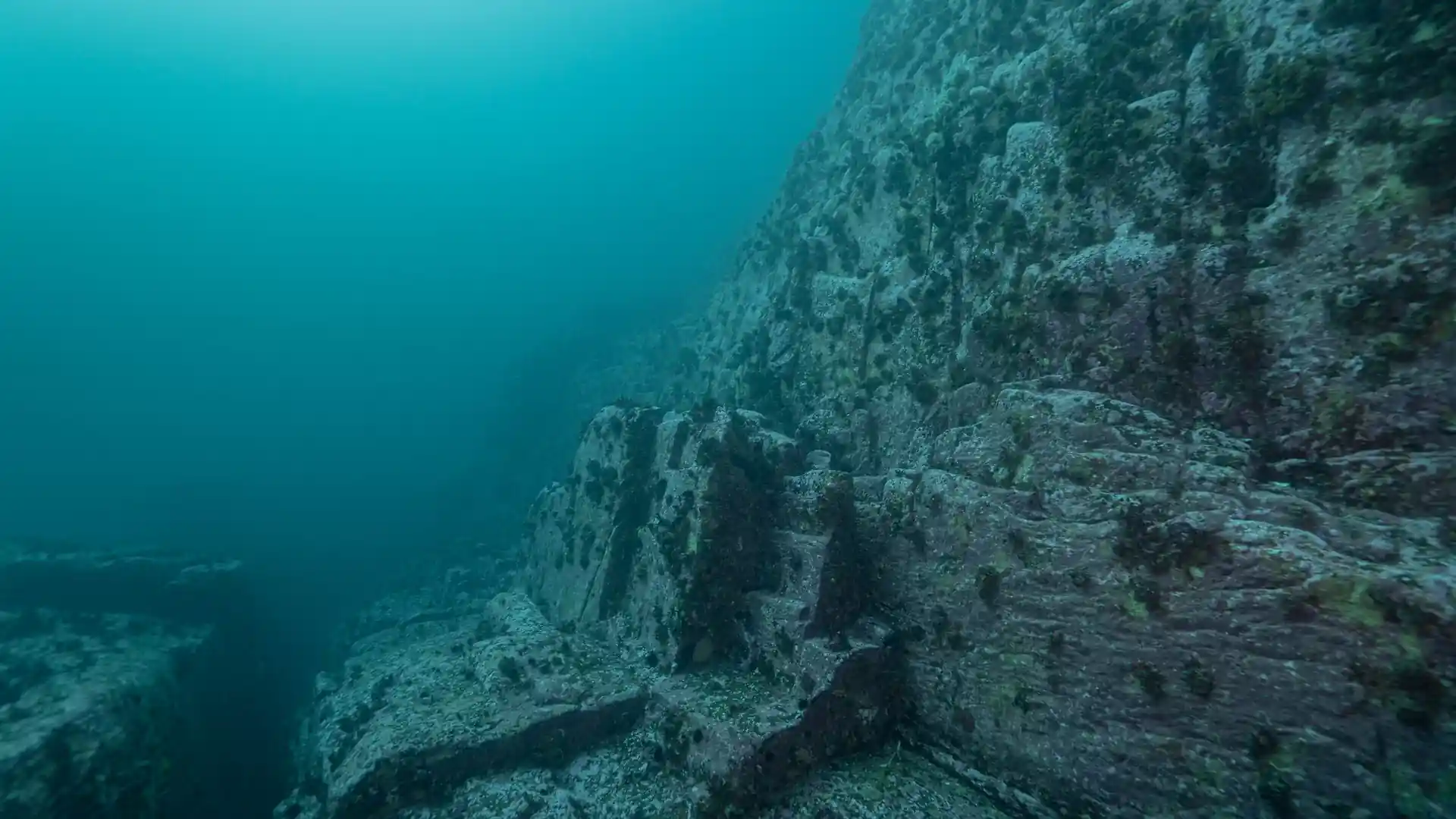 다이빙 포인트 사진