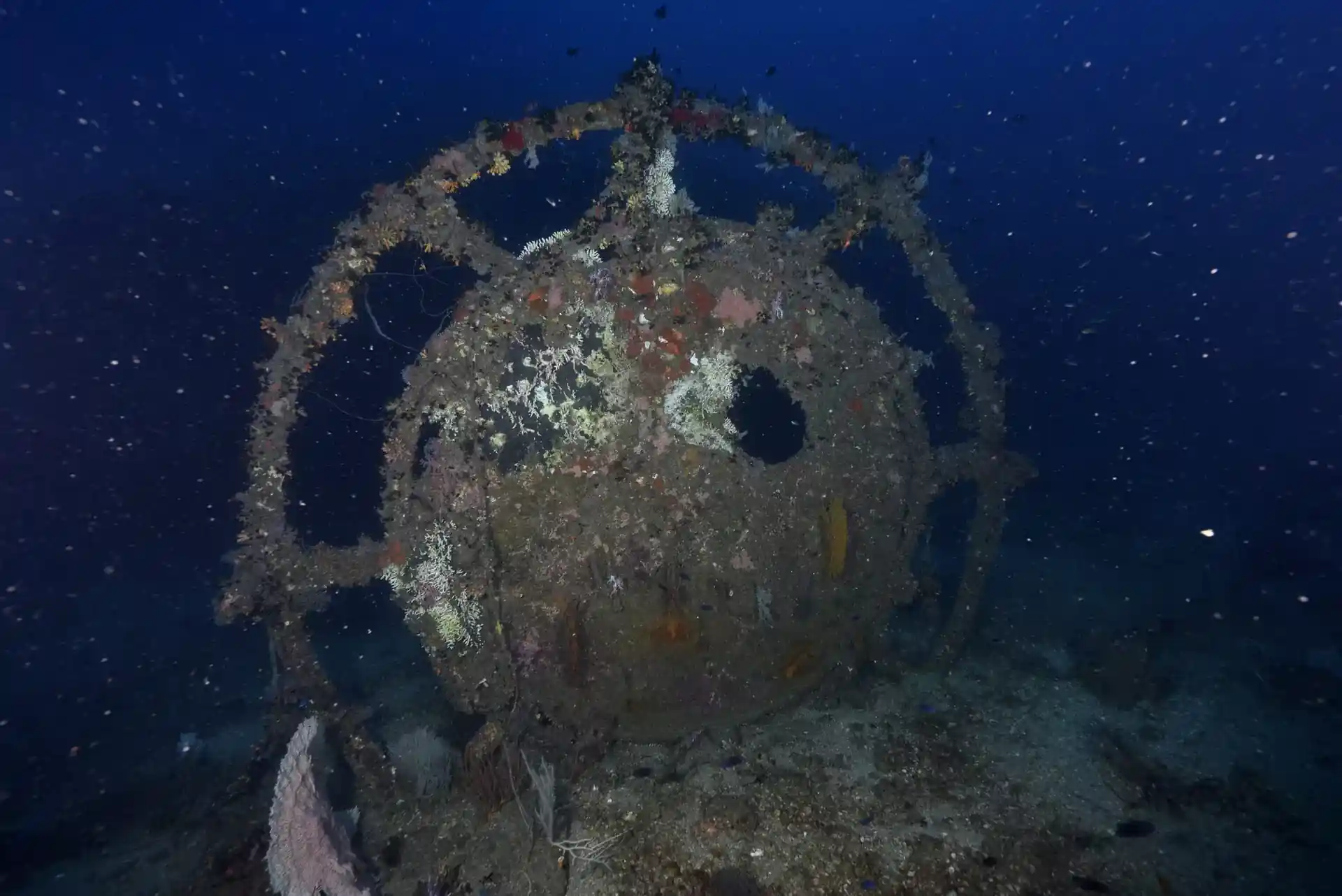 Dive site photo