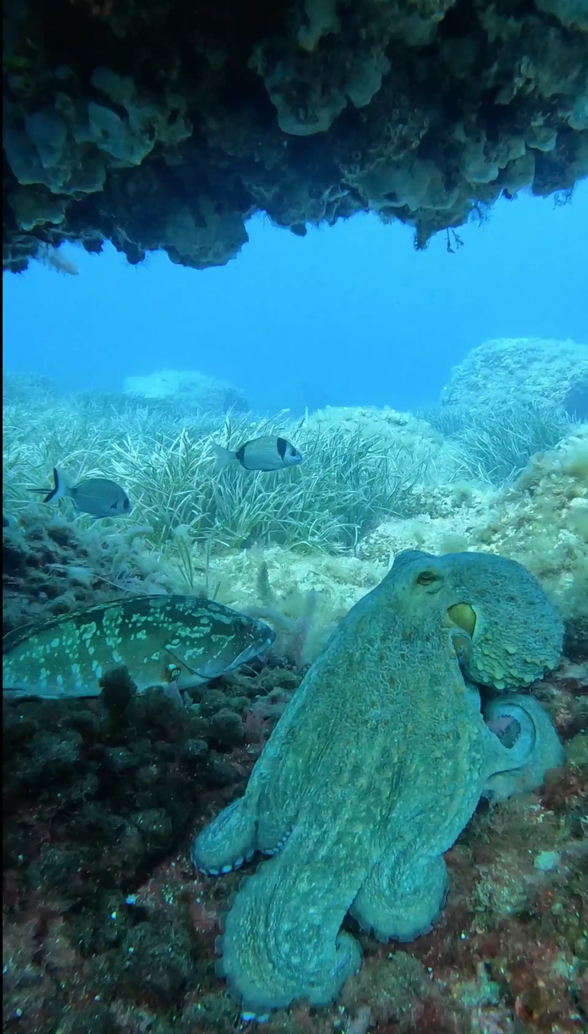 Dive site photo