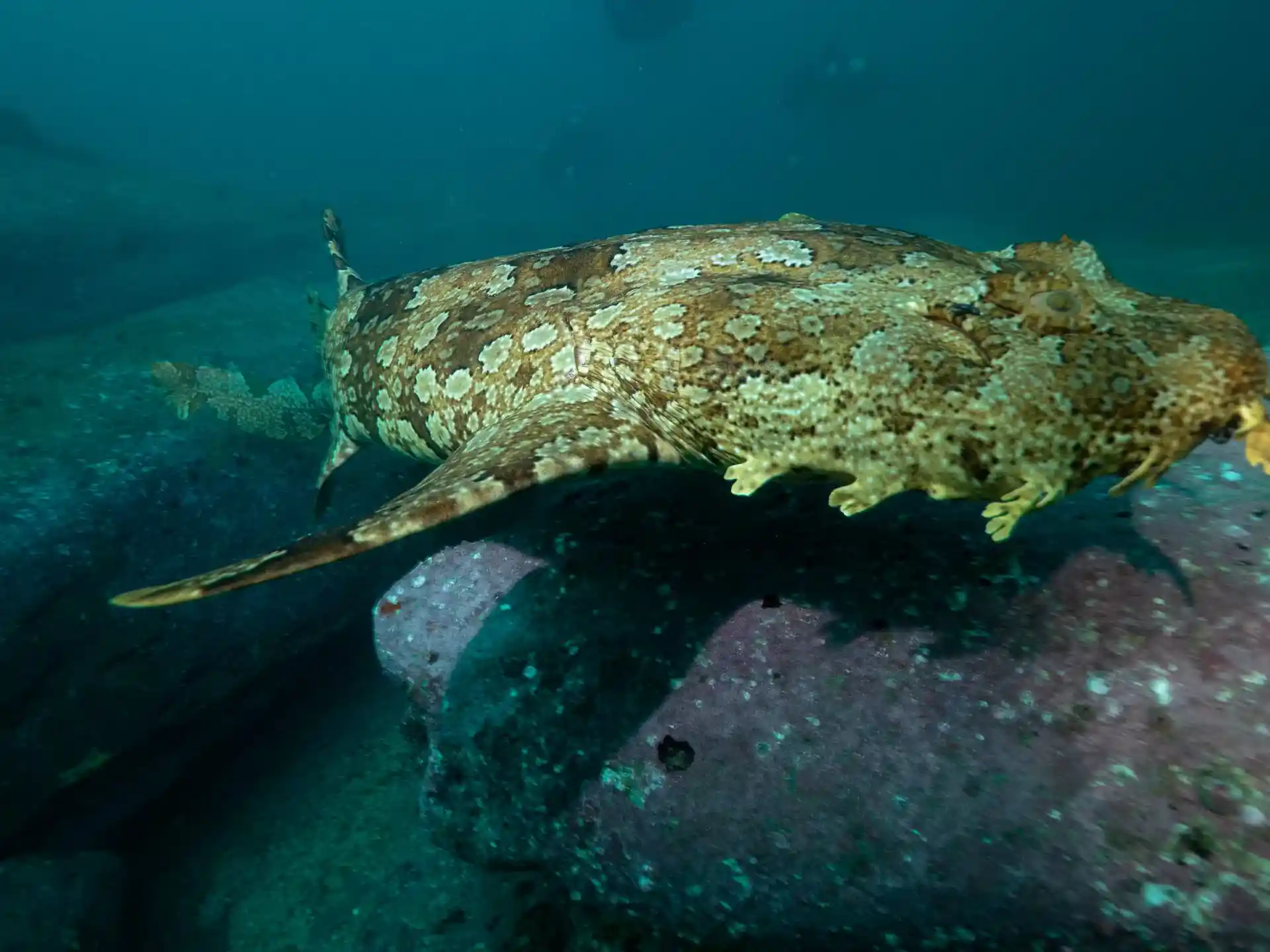 Dive site photo